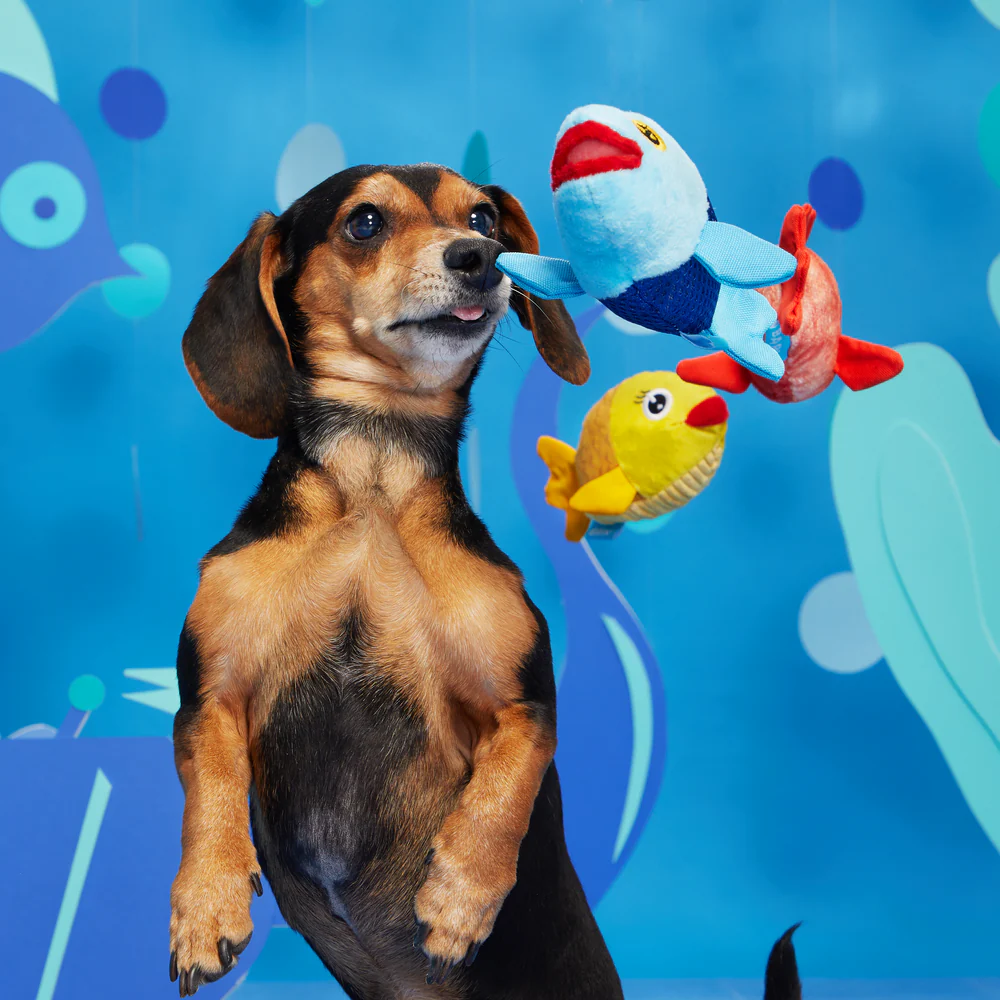 BARK The Groupers Dog Toy - Image 4