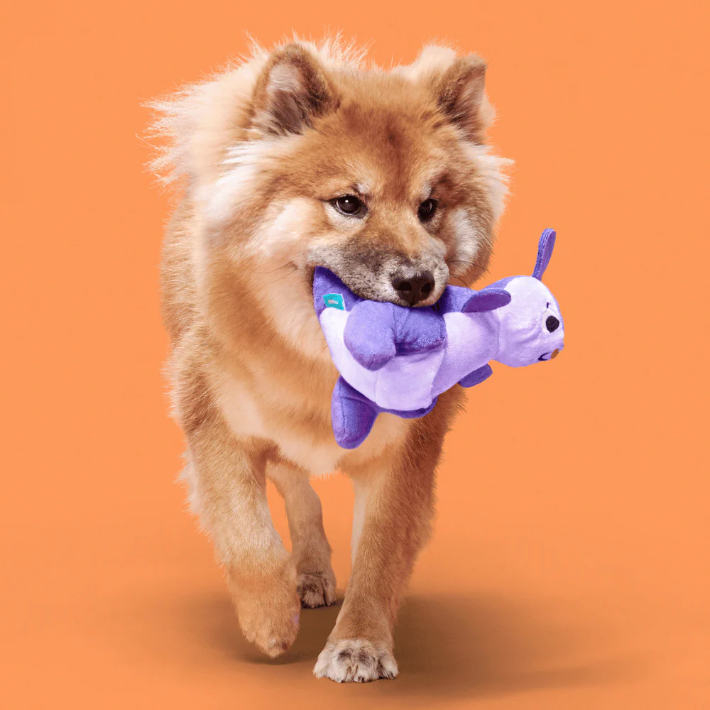 BARK Topanga Kanga Dog Toy - Image 2