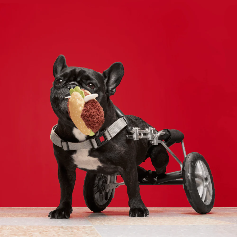 BARK Turkey Barker Dog Toy - Image 2