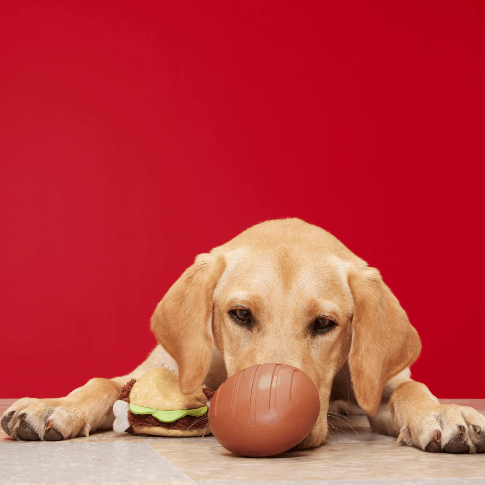 BARK Turkey Barker Dog Toy - Image 3