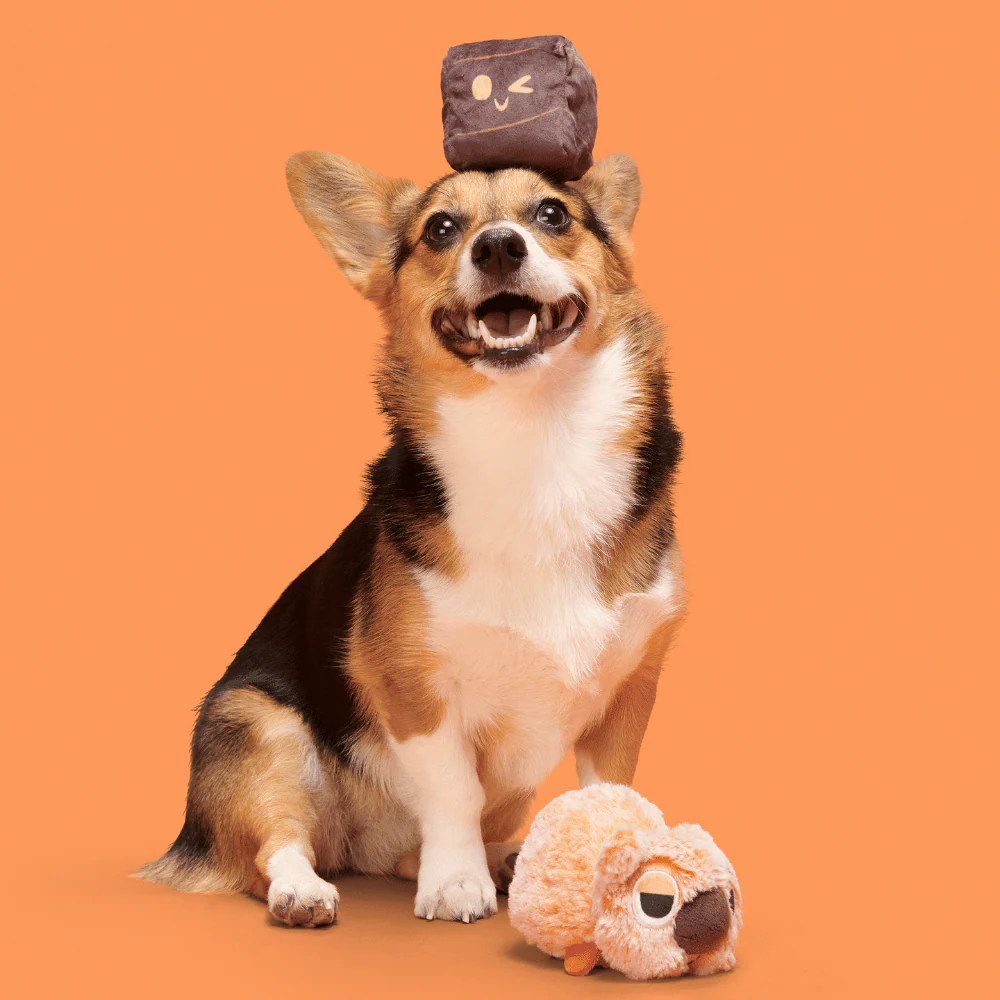 BARK Walken Wombat Dog Toy - Image 2