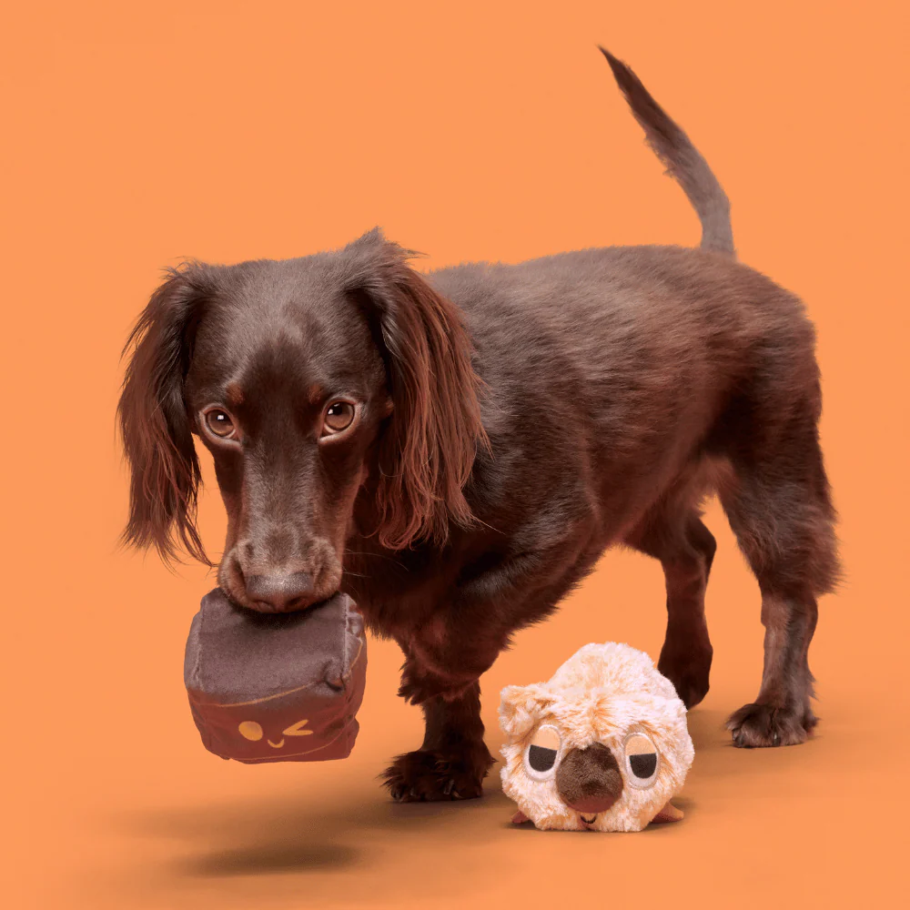 BARK Walken Wombat Dog Toy - Image 3