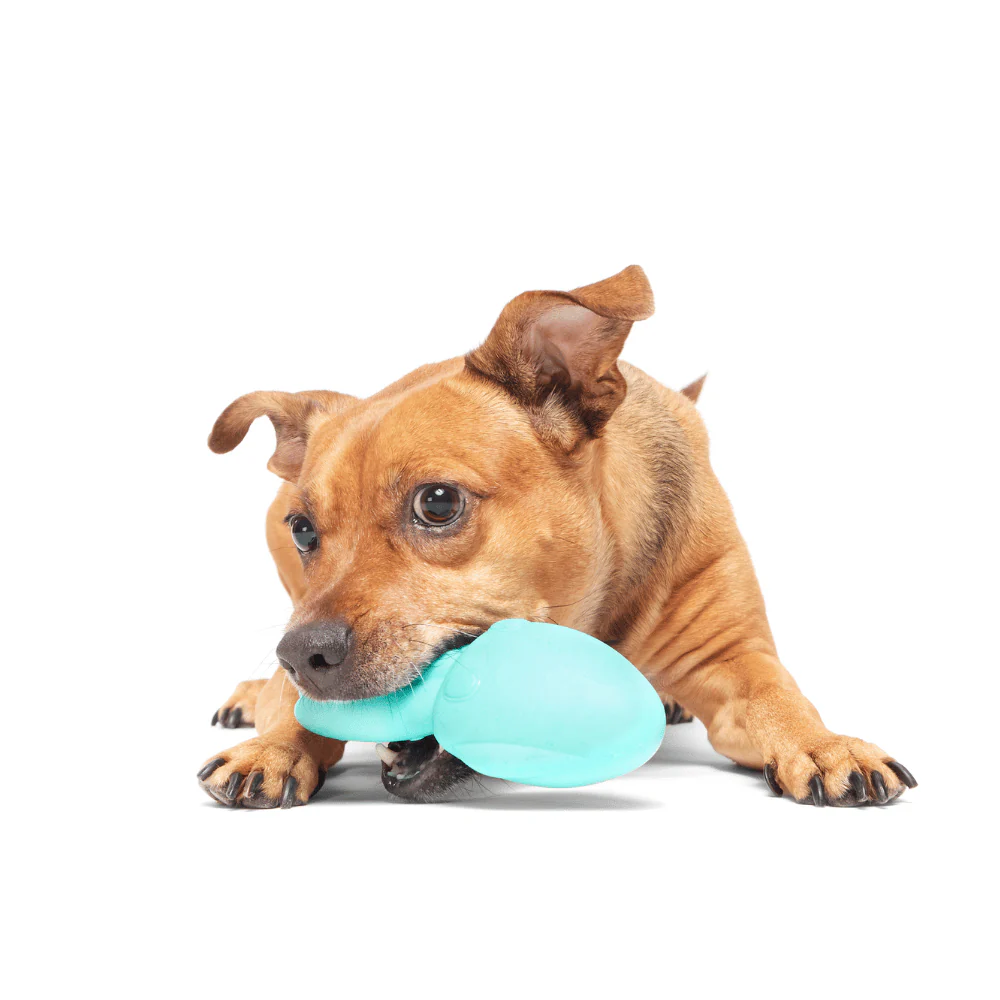 BARK Whiz Squid Dog Toy - Image 4