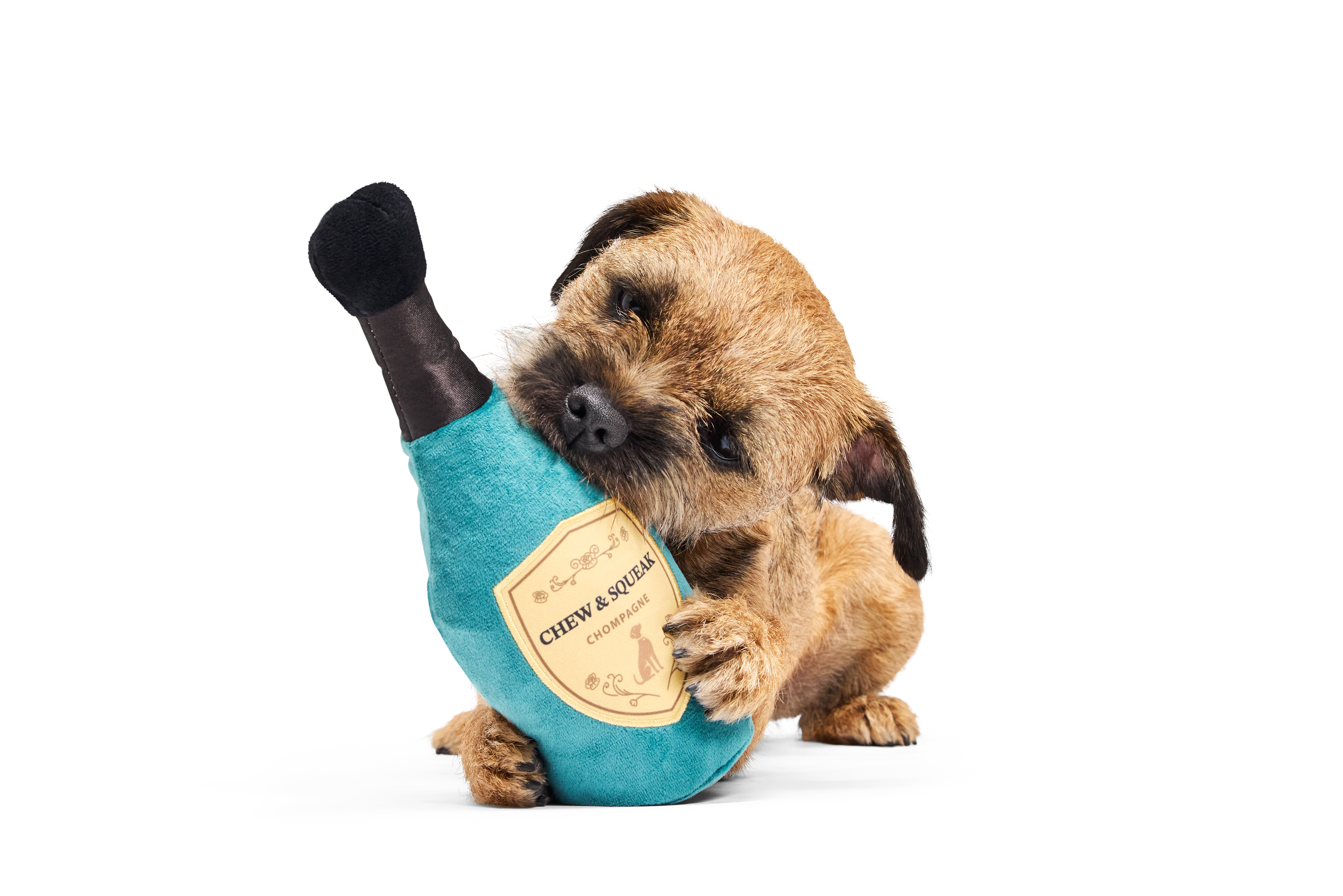 BARK X Crufts Winner's Chompagne Dog Toy