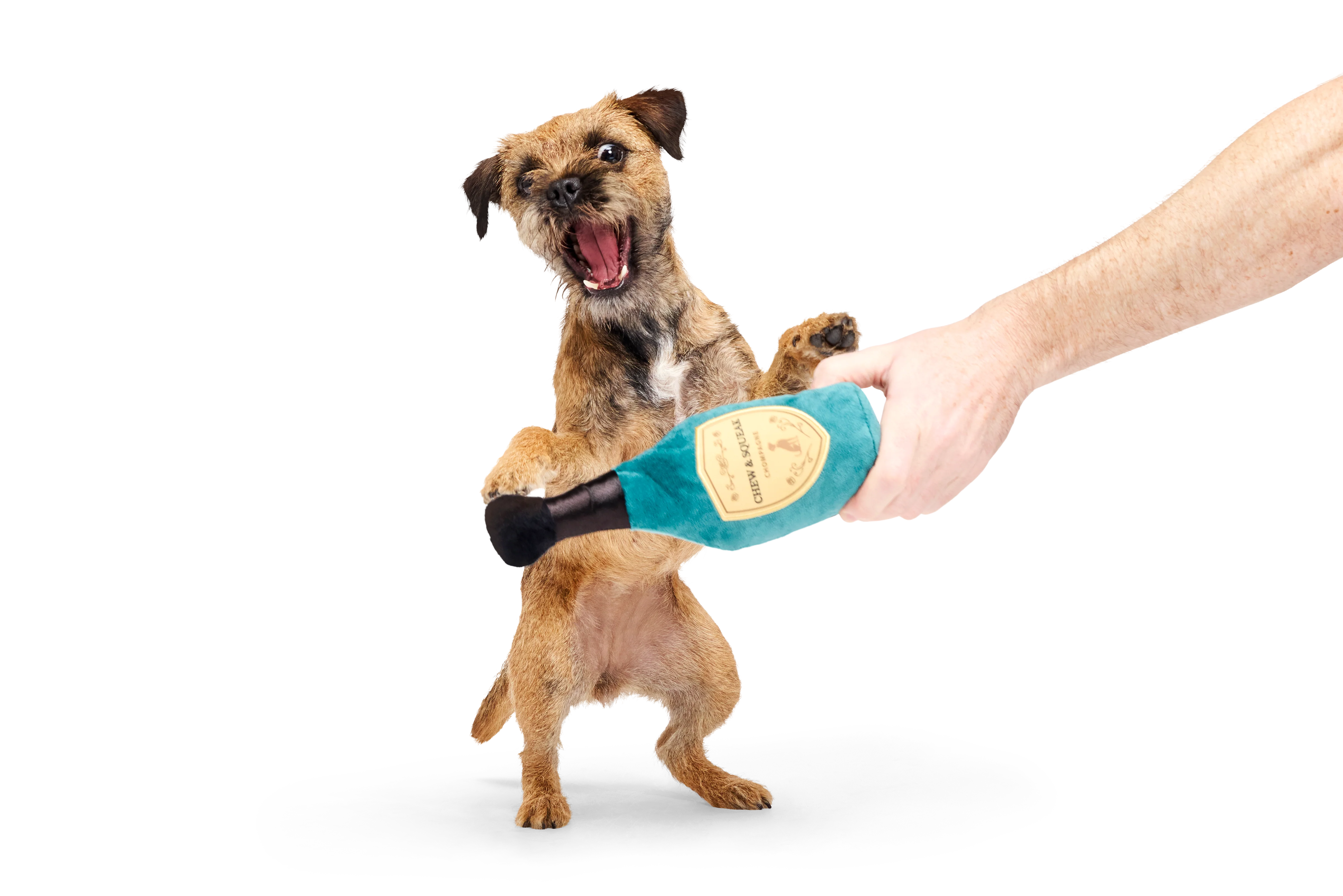 BARK X Crufts Winner's Chompagne Dog Toy - Image 2