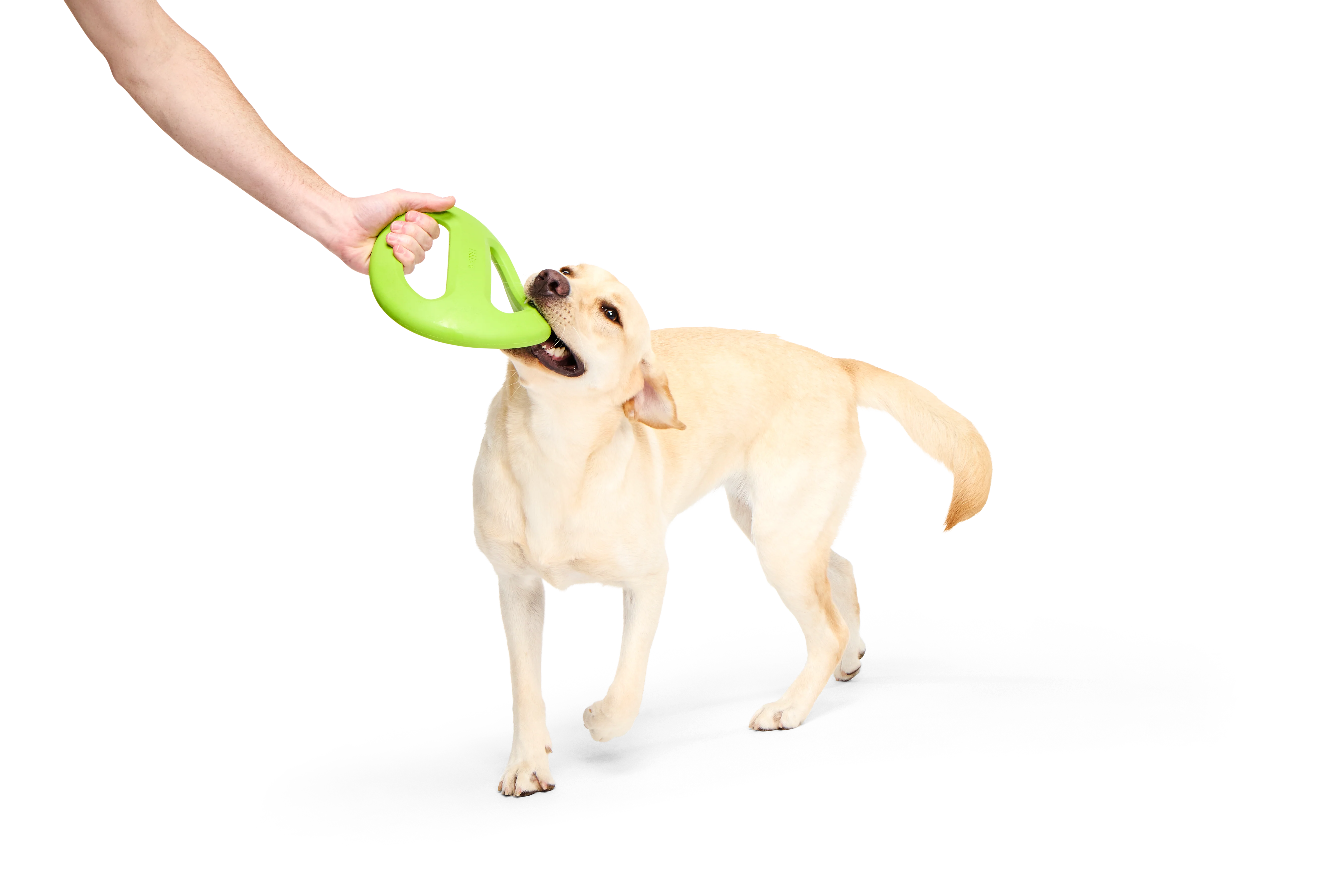 BARK X Crufts Aviator Dog Toy - Image 2