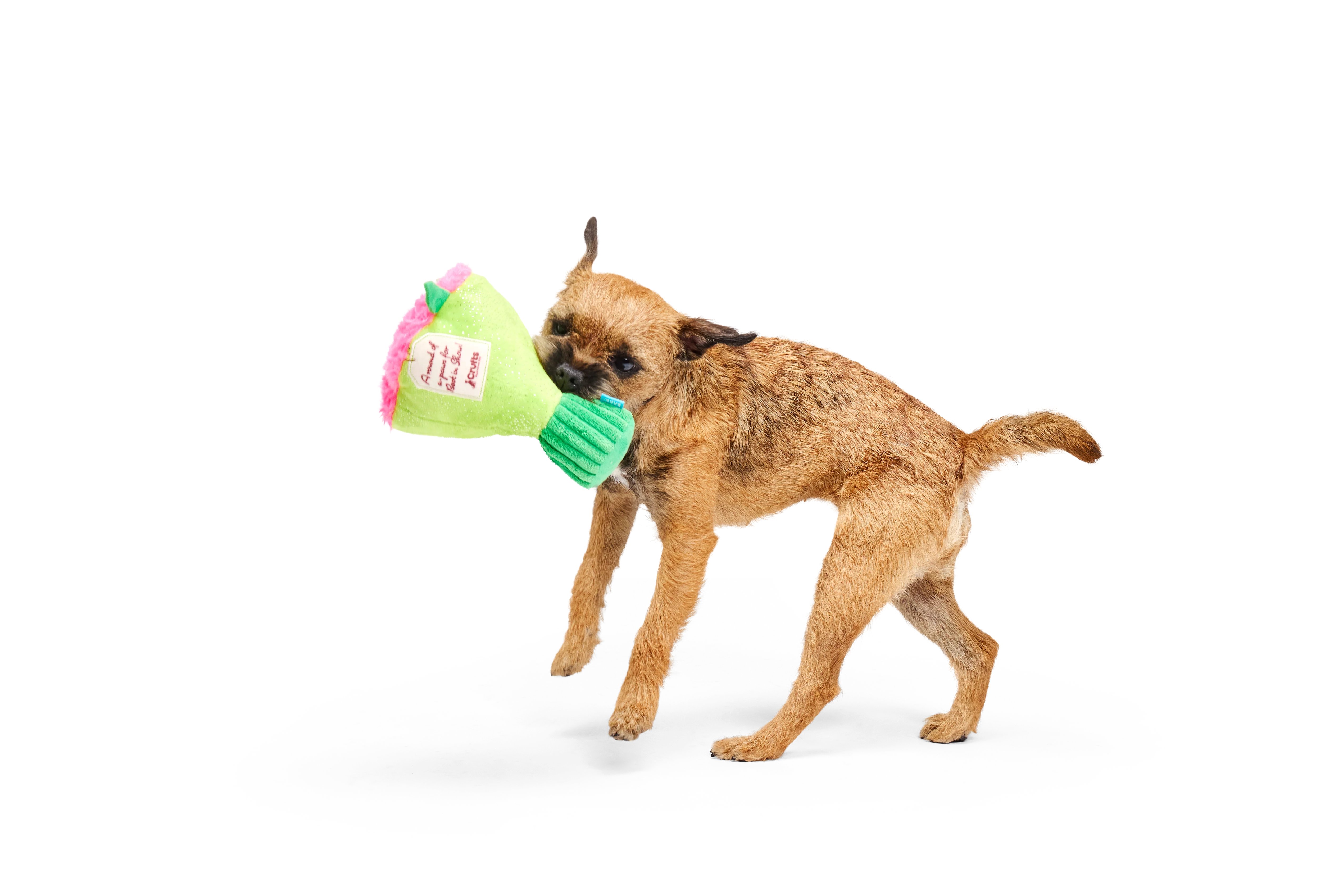BARK X Crufts Boopquet of Roses Dog Toy - Image 2