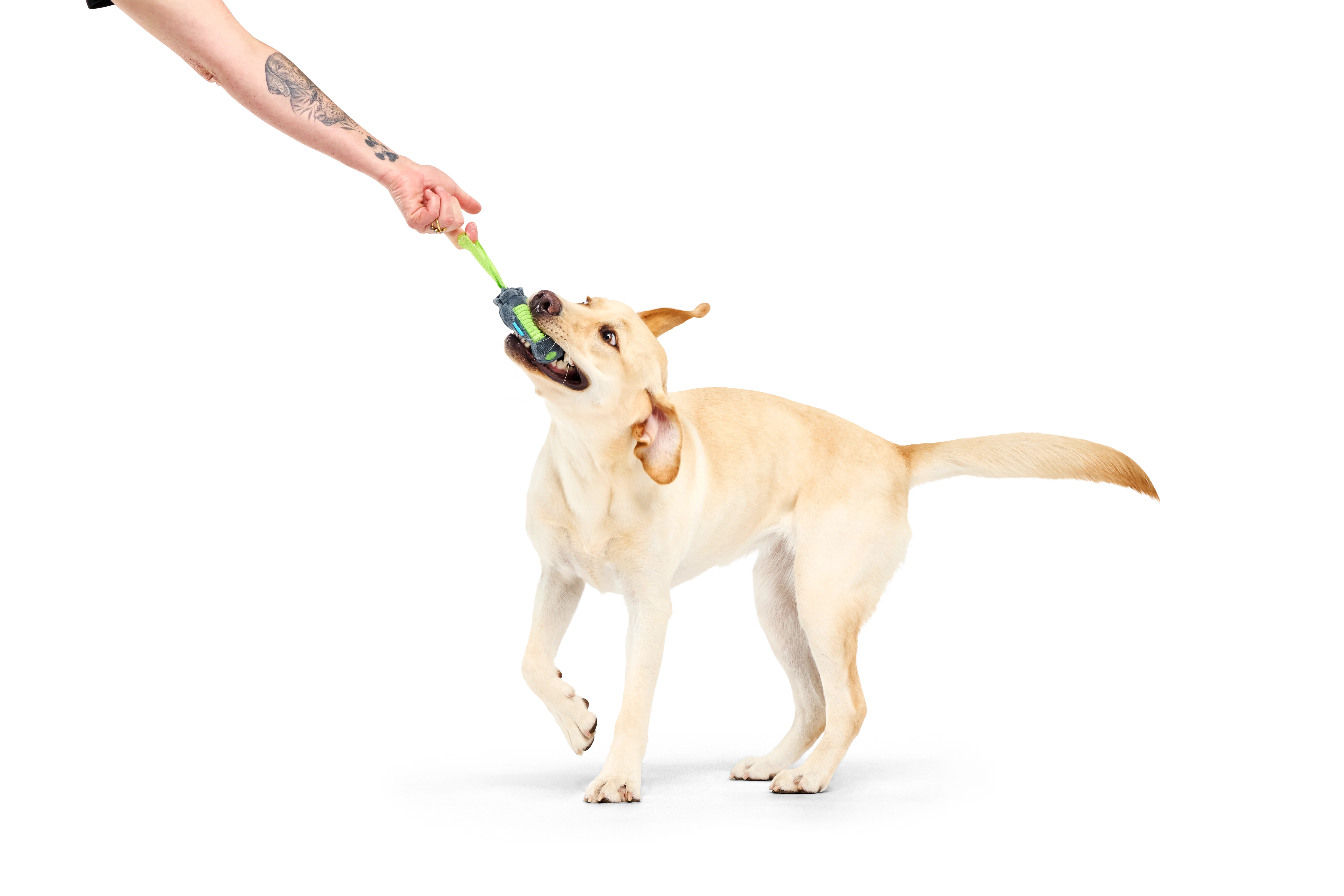 BARK X Crufts Personal Beast Play Timer Dog Toy - Image 2