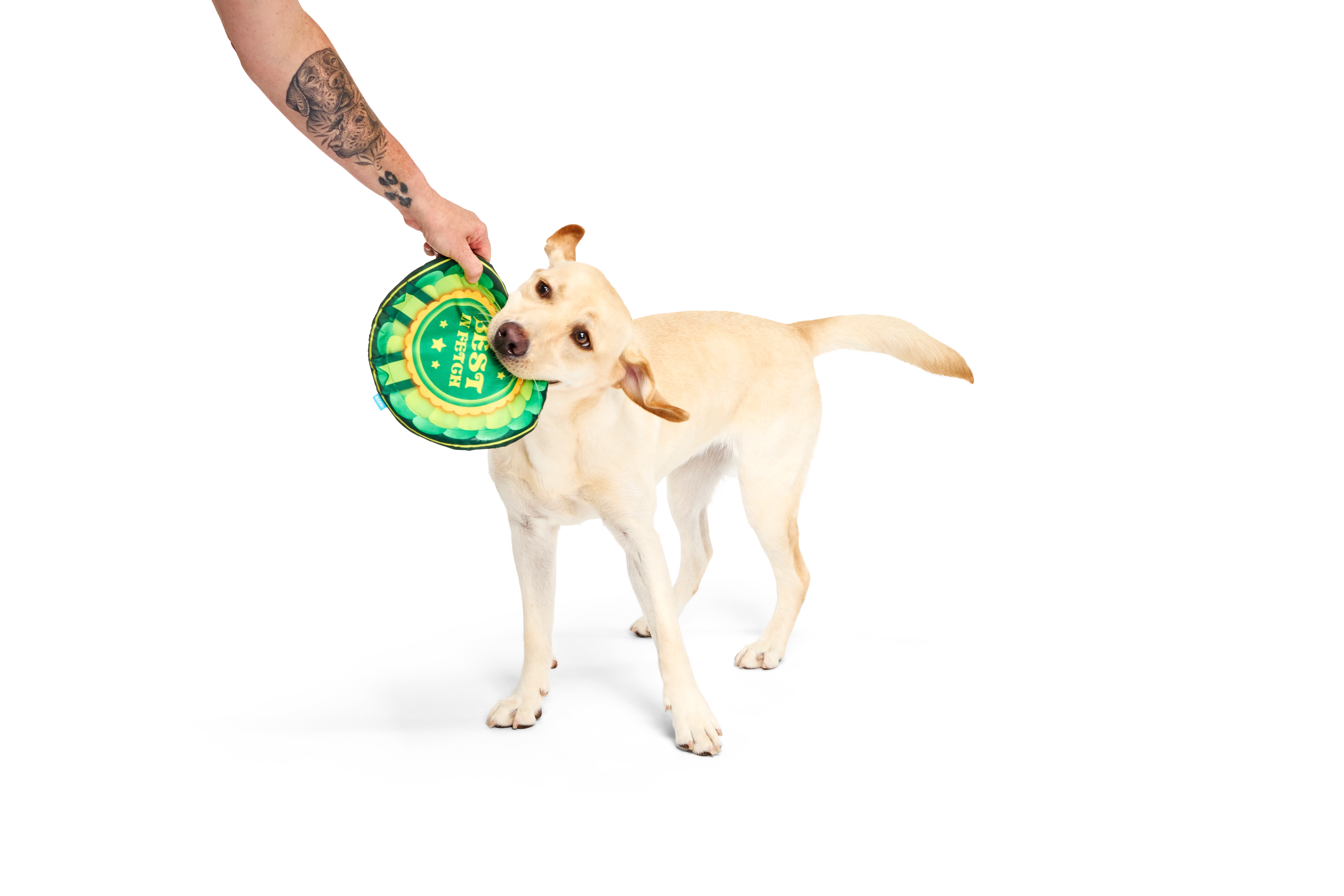 BARK X Crufts Throwsette Disc Dog Toy