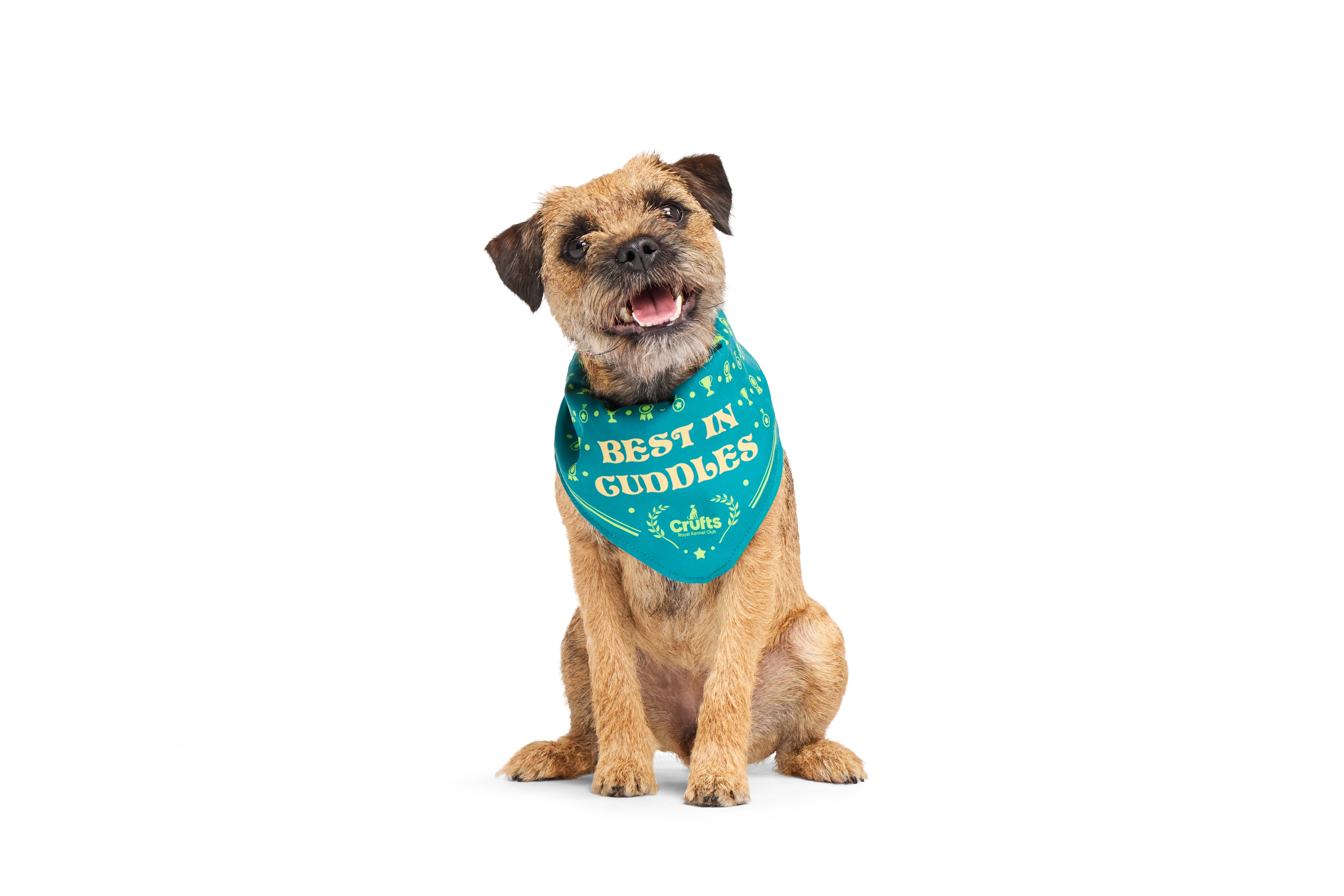 BARK X Crufts Winner's Bandana Dog Toy
