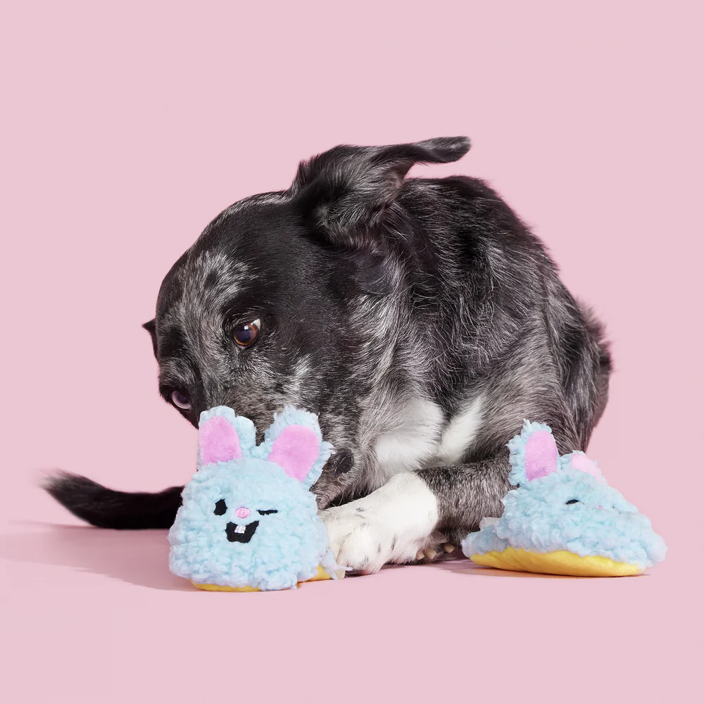 BARK Yippy & Skippy Slippies Dog Toy - Image 2