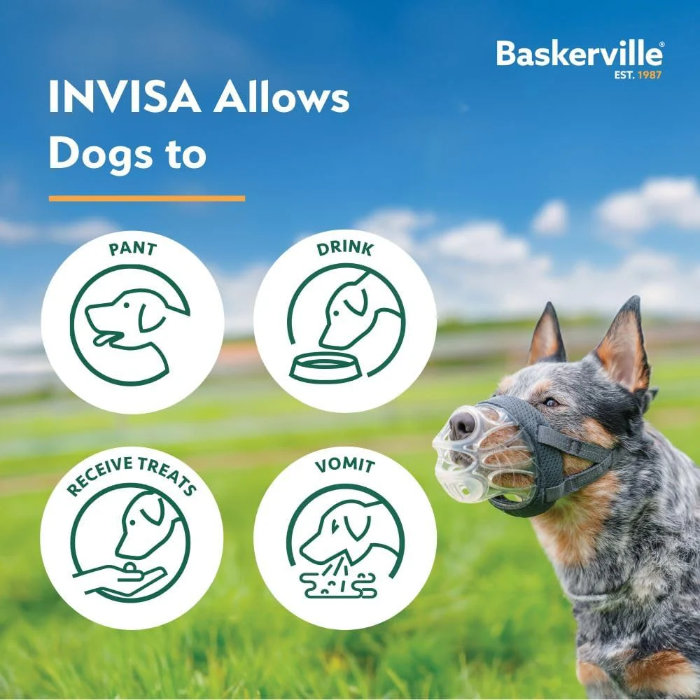 Baskerville INVISA Dog Muzzle - Clear - Image 9