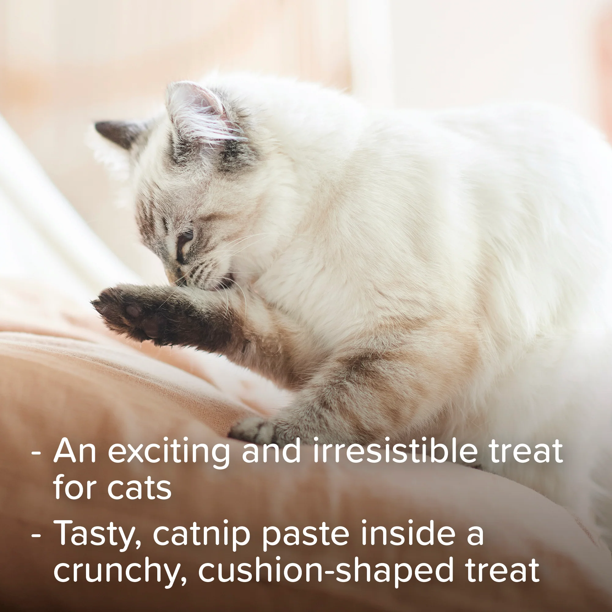 Beaphar Adult Catnip Bits Cat Treats - Image 4