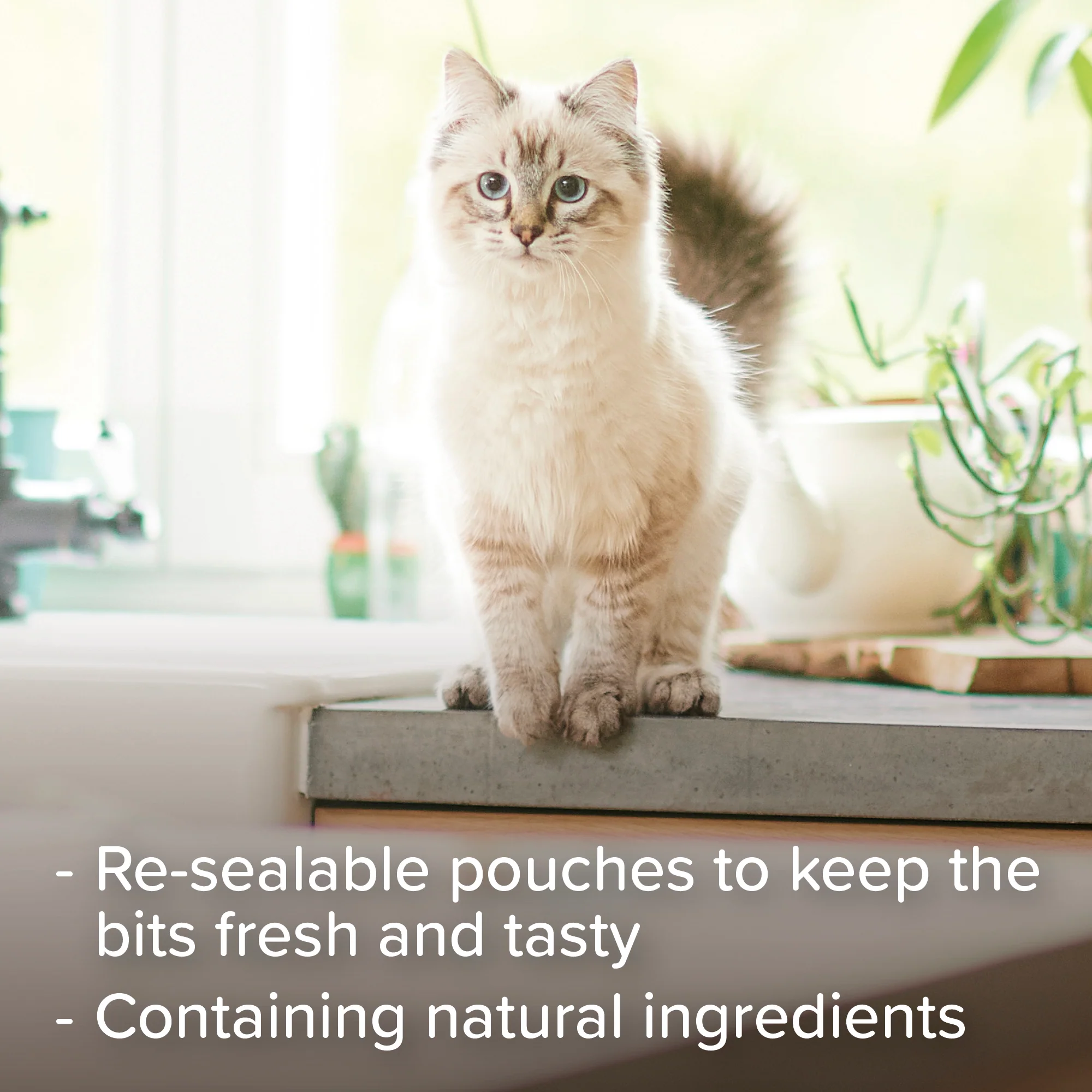 Beaphar Adult Catnip Bits Cat Treats - Image 5