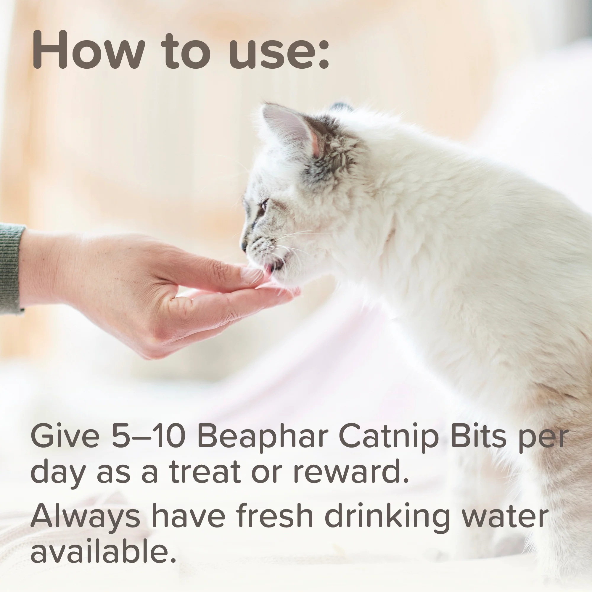 Beaphar Adult Catnip Bits Cat Treats - Image 6
