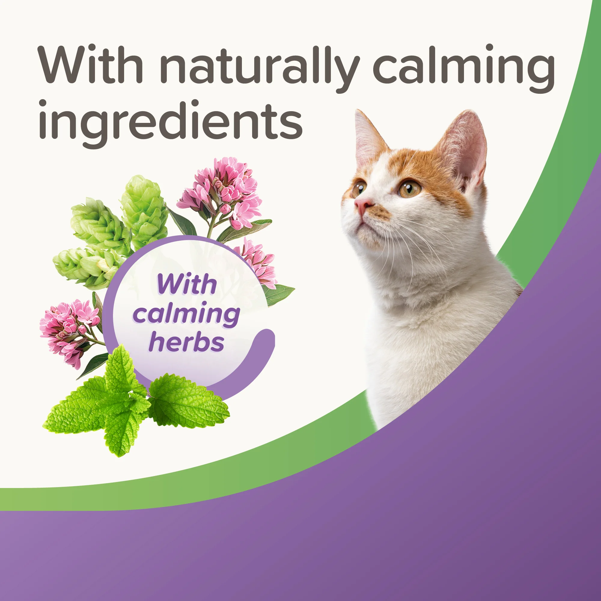 Beaphar Calming Cat Treat - Image 2