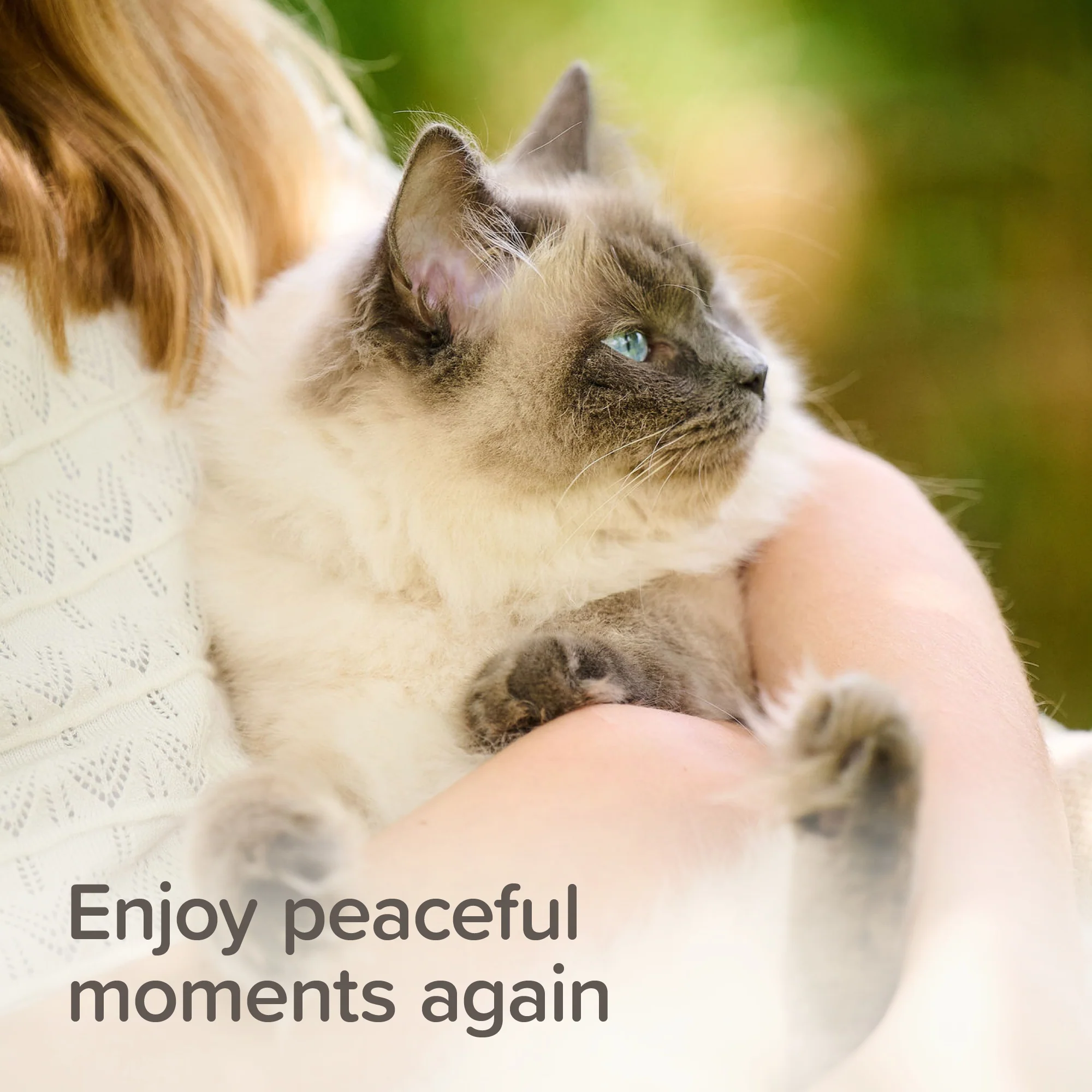 Beaphar Calming Cat Treat - Image 5