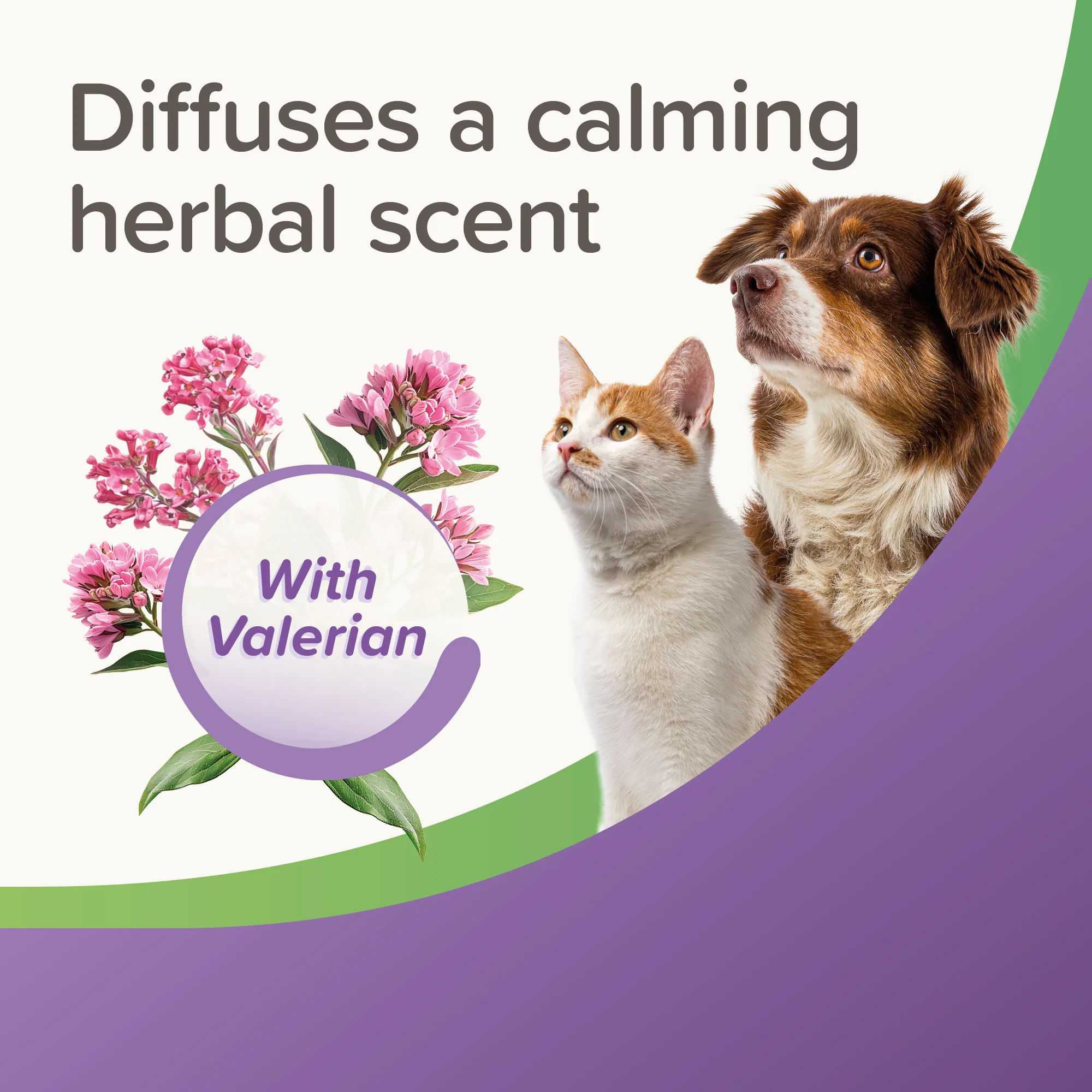 Beaphar Calming Home Spray - Image 5