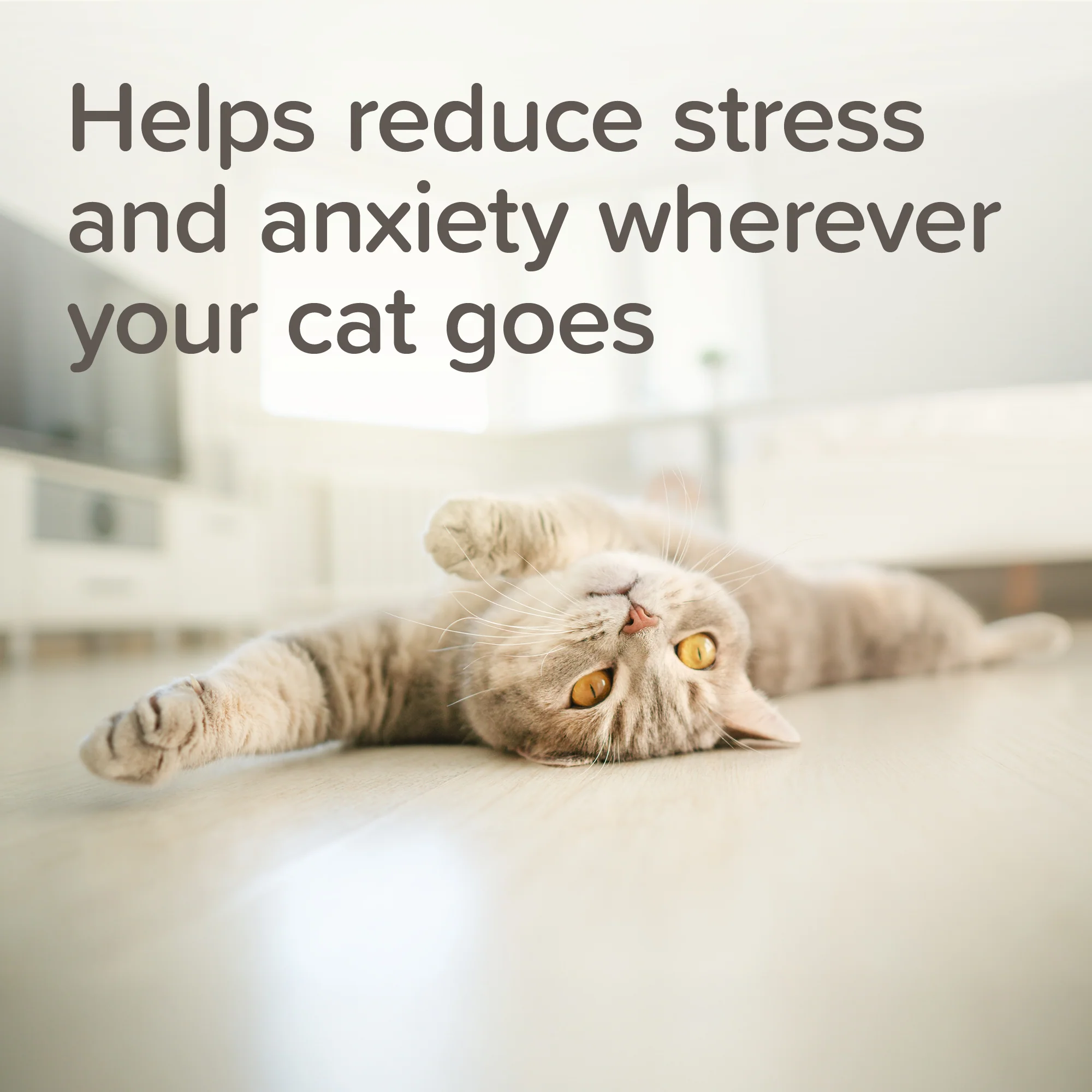 Beaphar Calming Spot-On Cat - Image 4