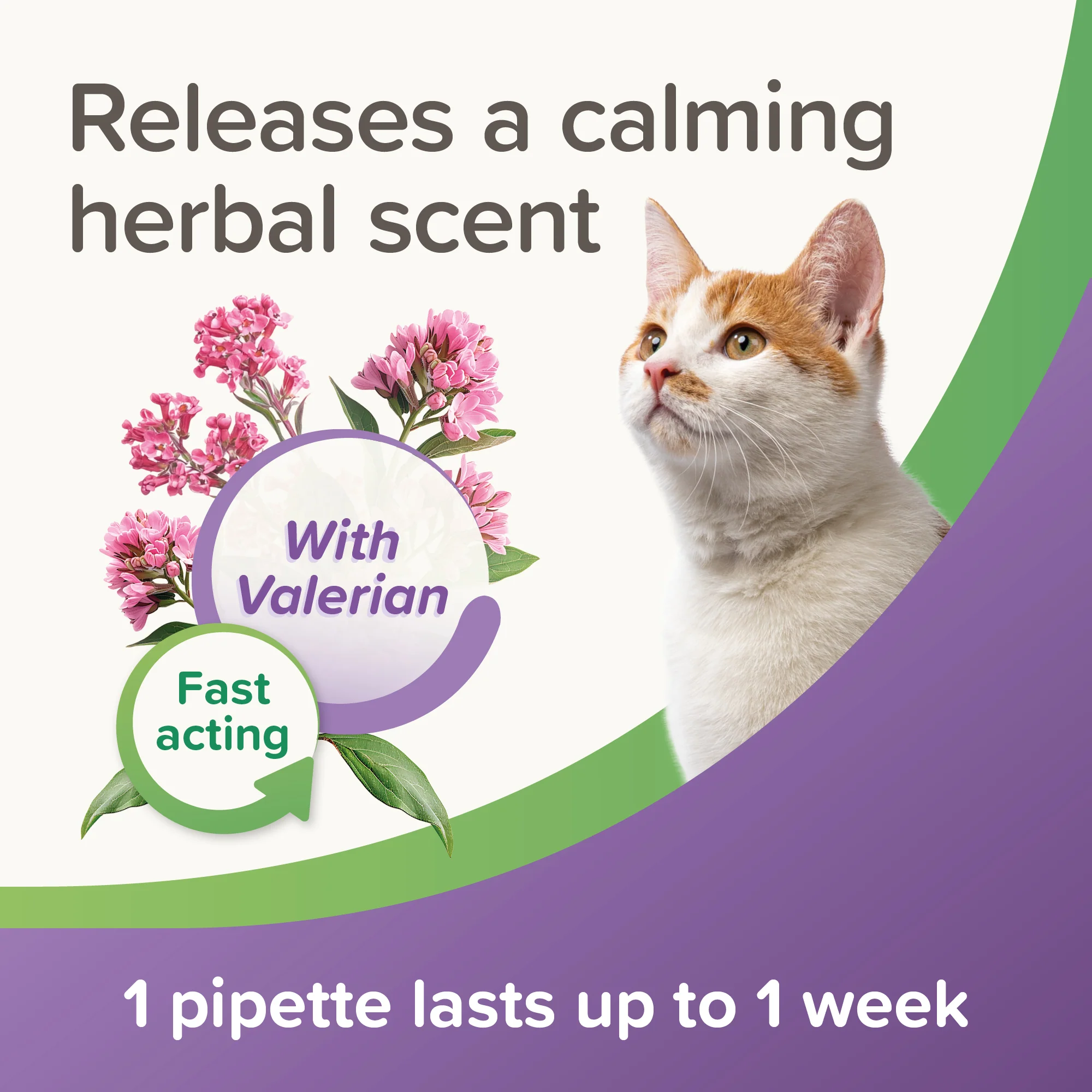 Beaphar Calming Spot-On Cat - Image 5