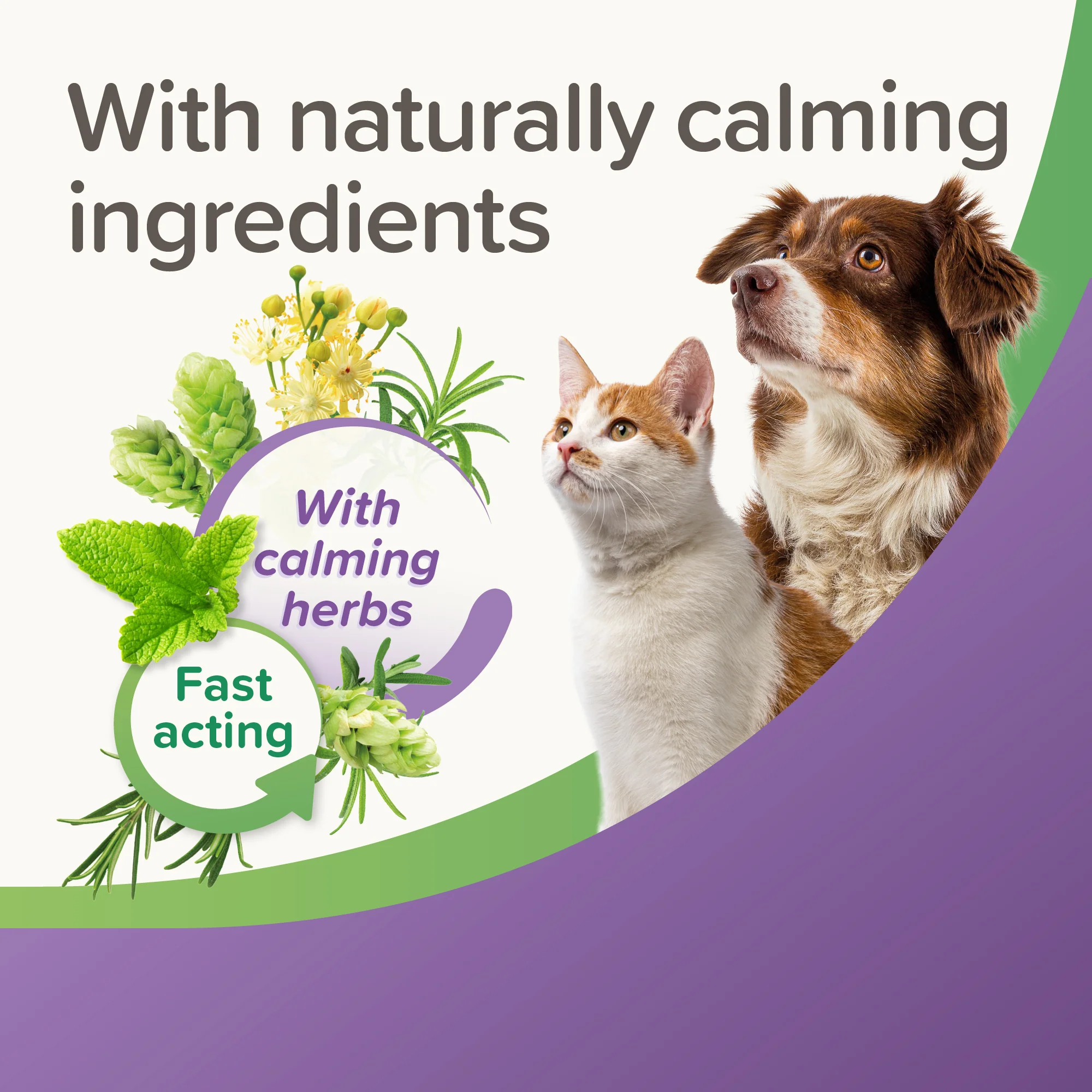 Beaphar Calming Tablets - Image 10