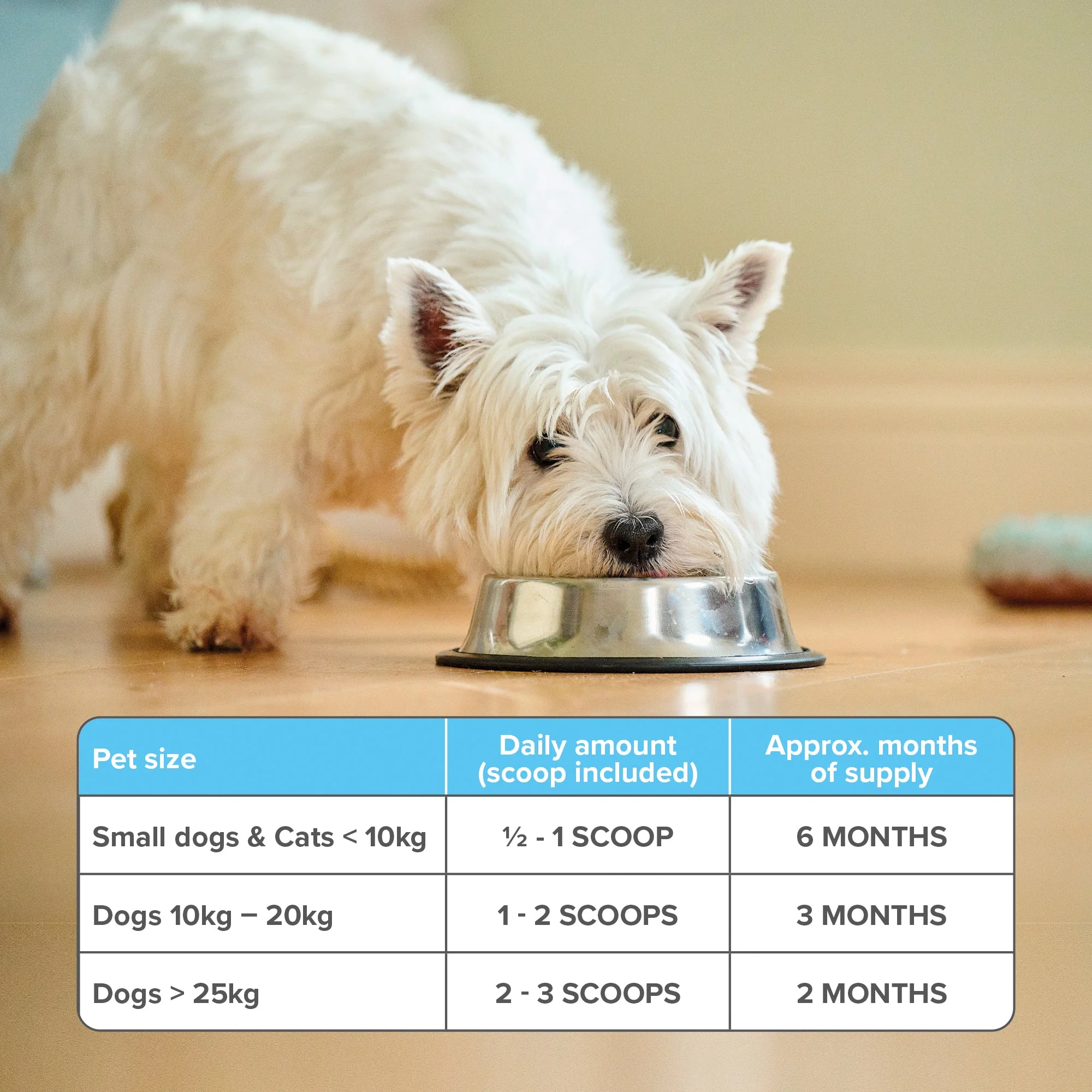 Beaphar Dental Powder for Dogs & Cats - Image 6