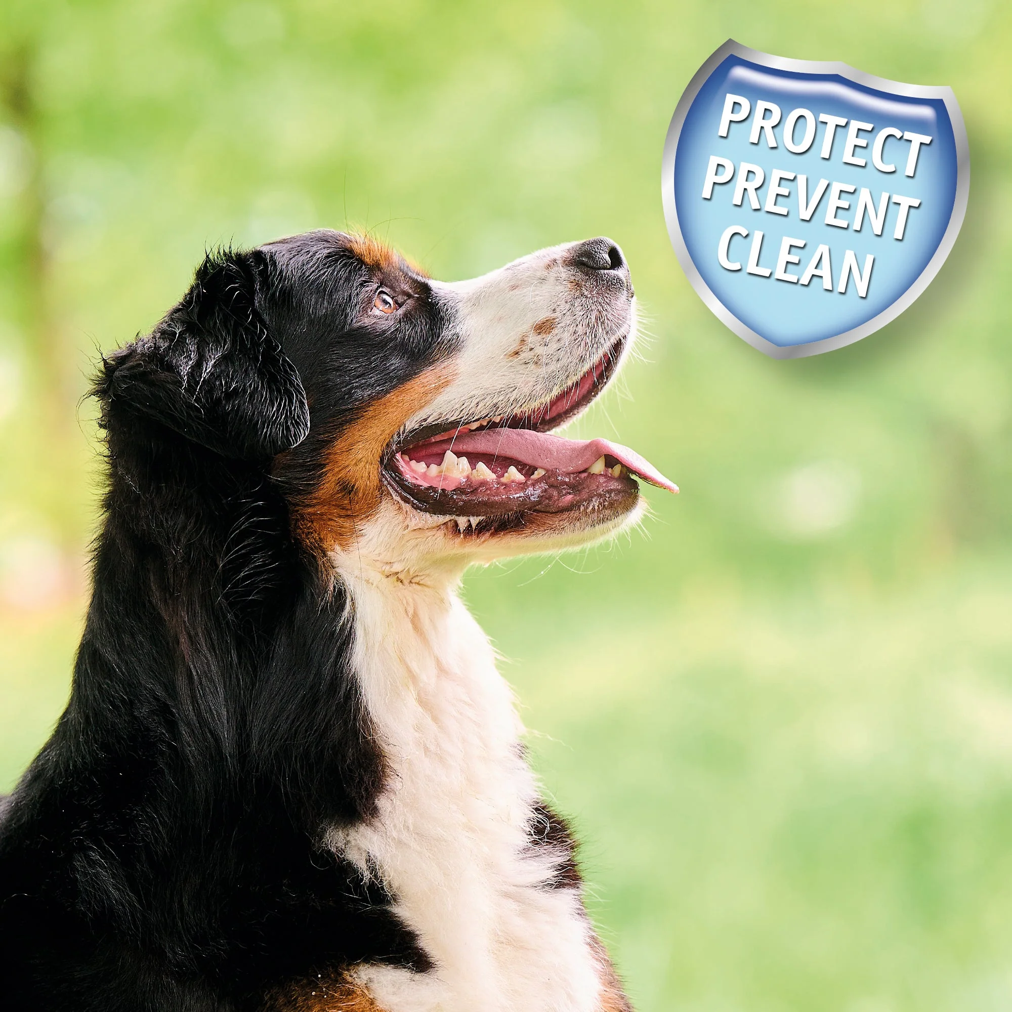 Beaphar Dental Powder for Dogs & Cats - Image 8