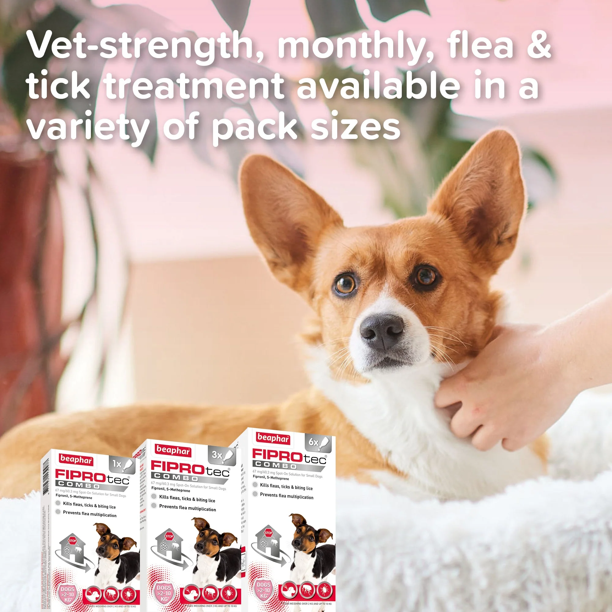 Beaphar FIPROtec Combo Flea & Tick Spot-On Solution for Small Dogs (2-10kg) - Image 7