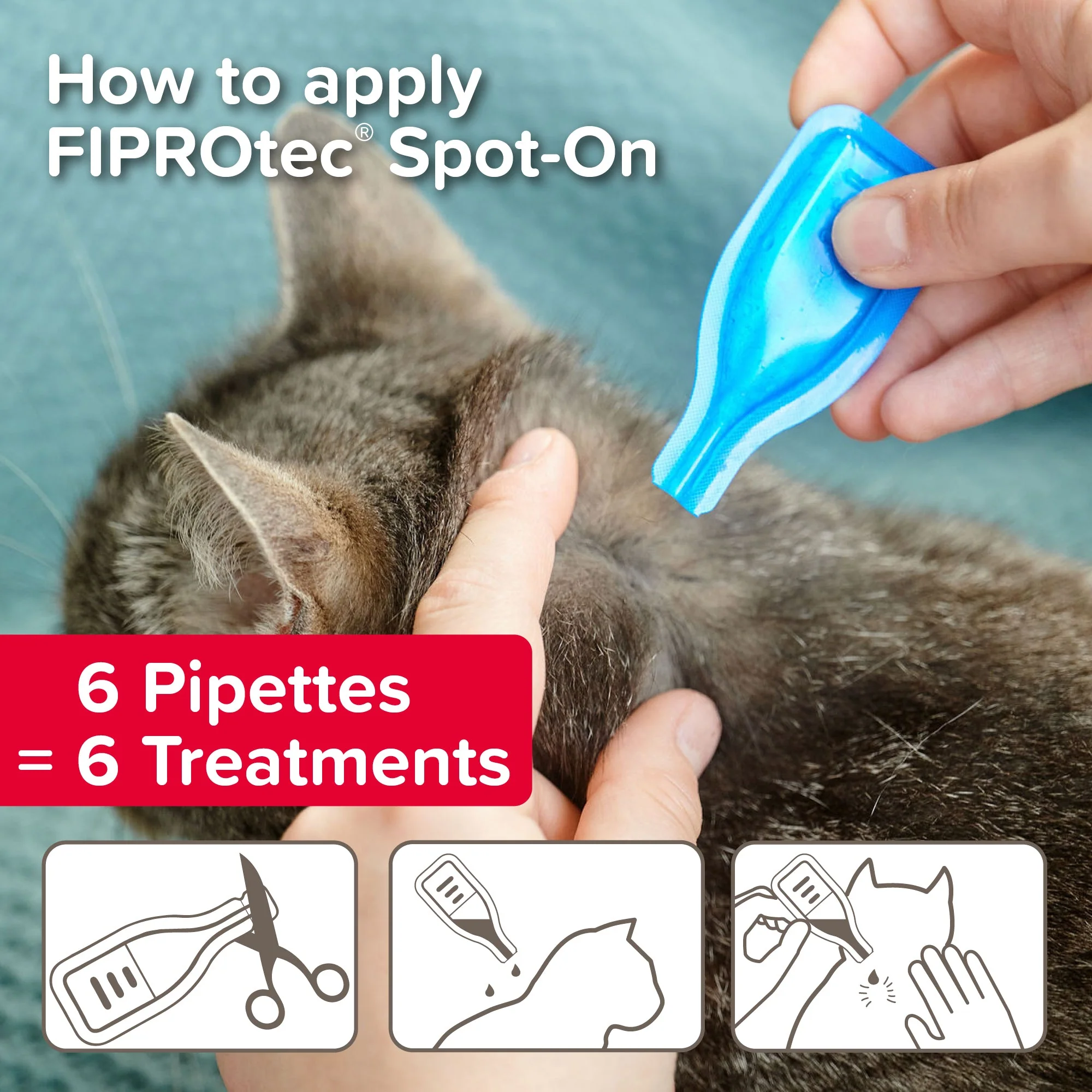 Beaphar FIPROtec Flea & Tick Spot-On Solution for Cats - Image 6