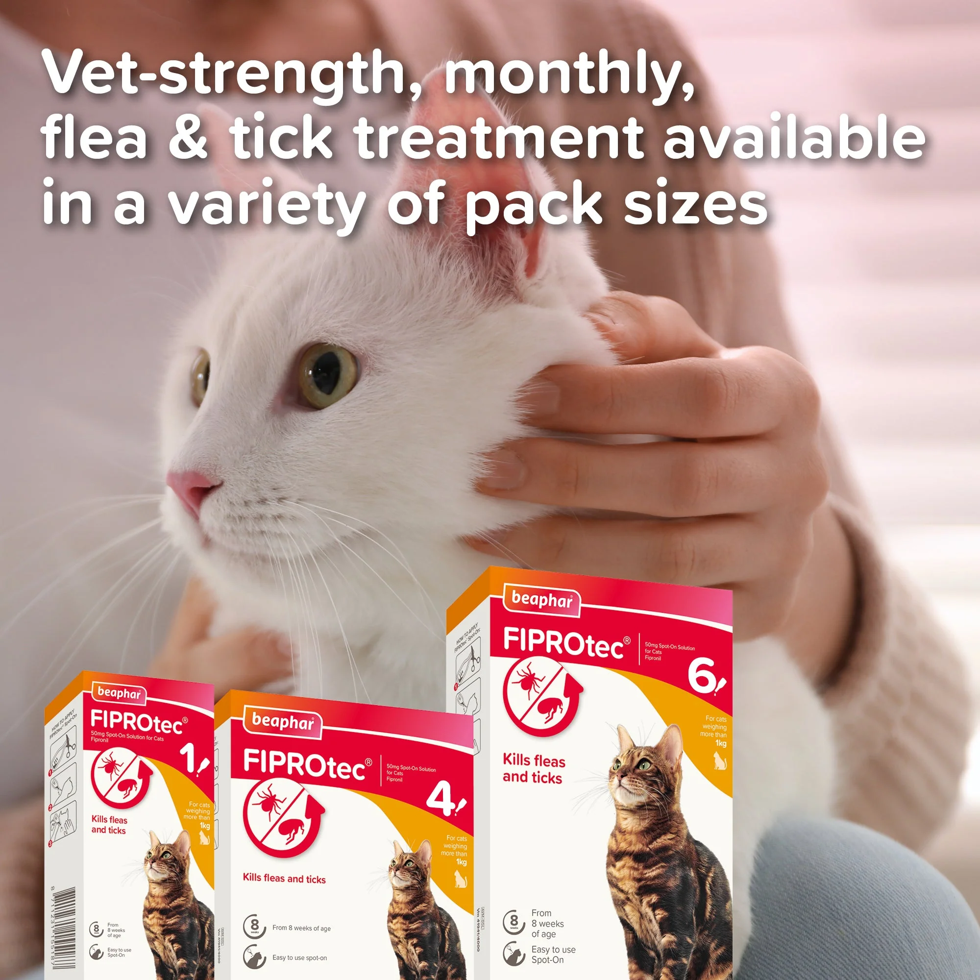 Beaphar FIPROtec Flea & Tick Spot-On Solution for Cats - Image 8