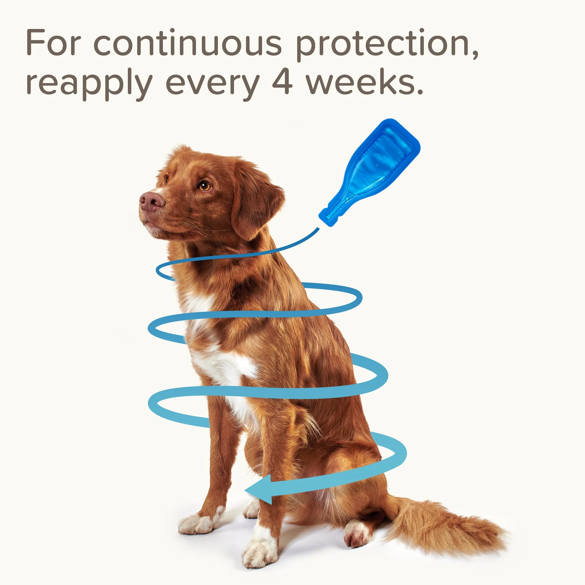 Beaphar FIPROtec Flea & Tick Spot-On Solution for Medium Dogs (10-20kg) - Image 5