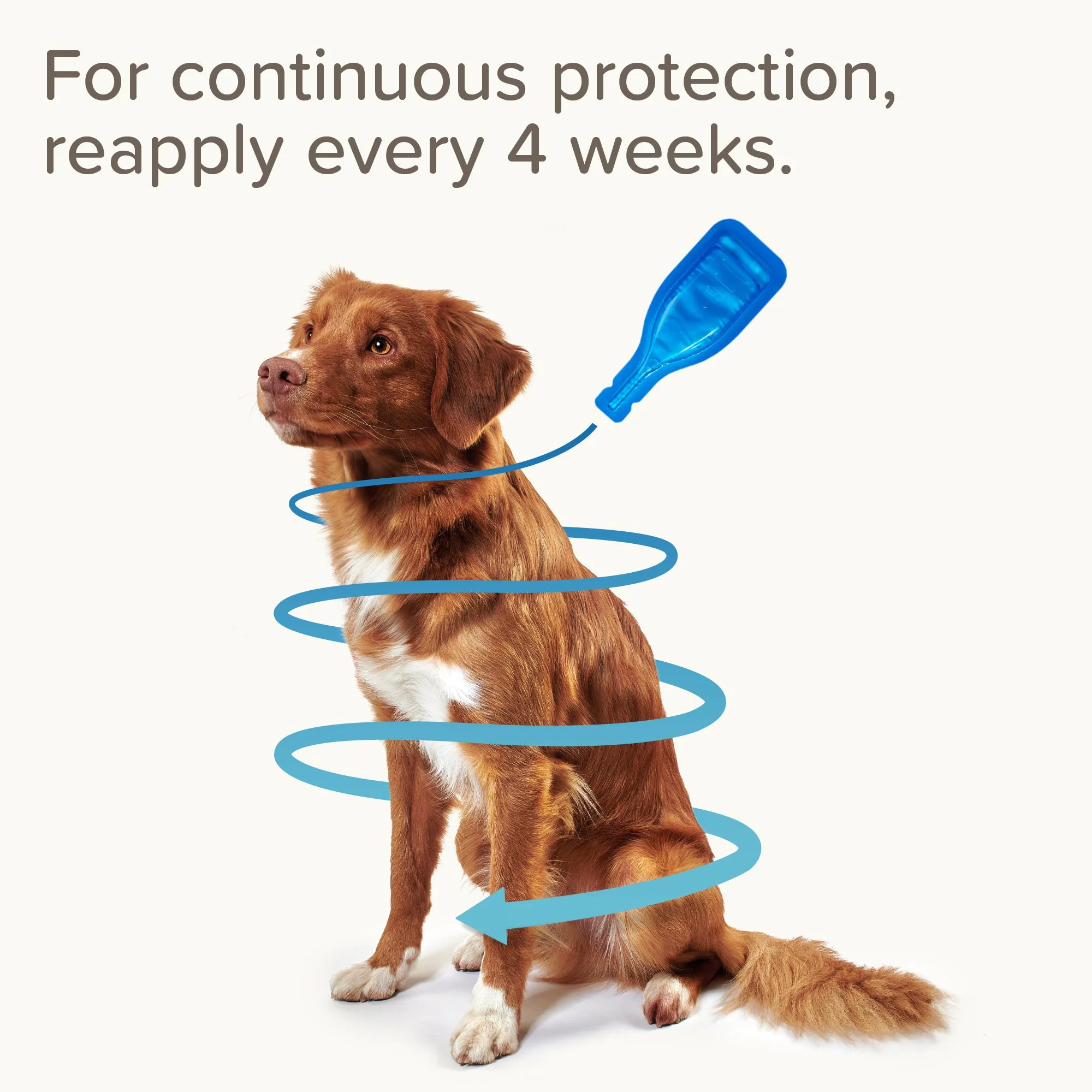 Beaphar FIPROtec Flea & Tick Spot-On Solution for Small Dogs (2-10kg) - Image 5