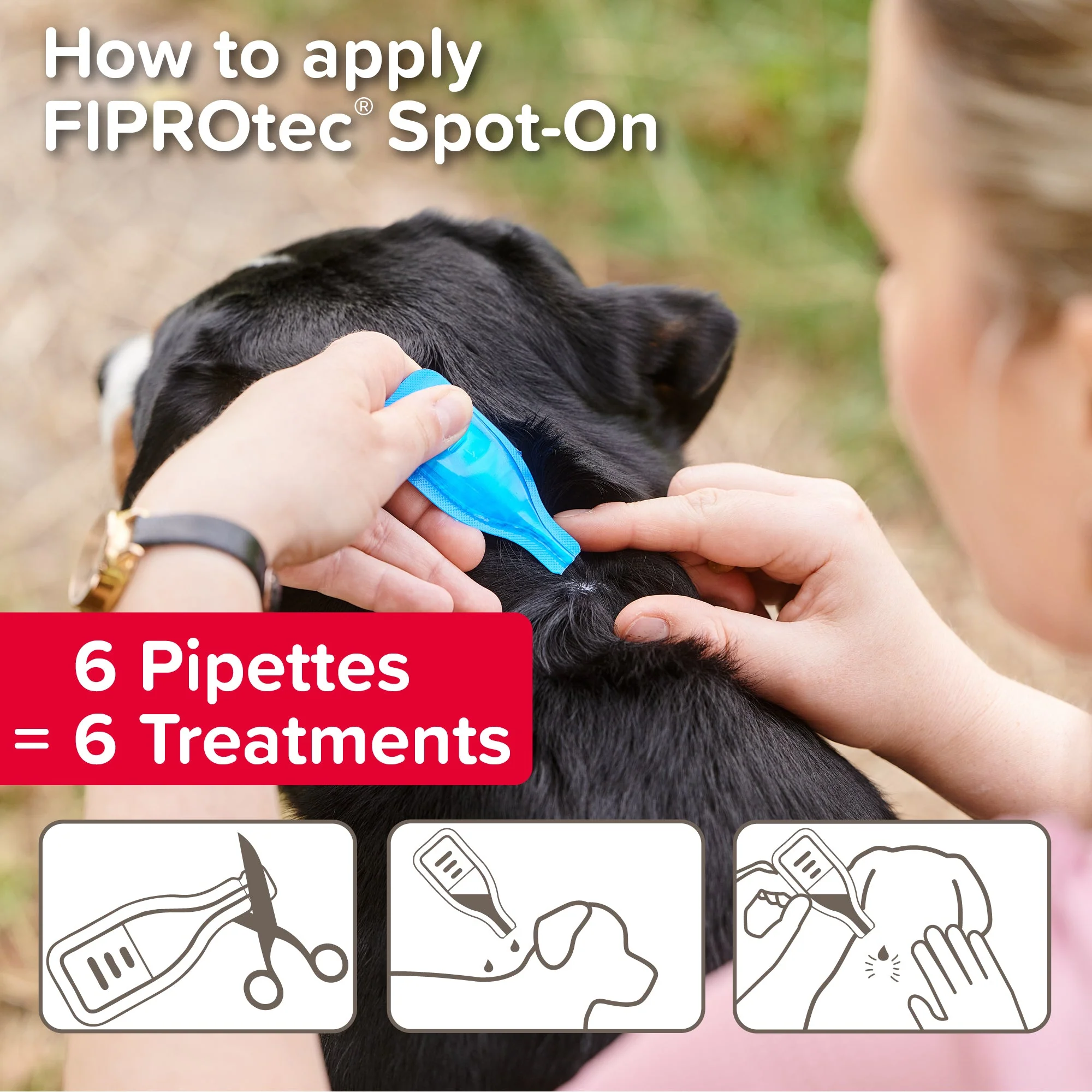 Beaphar FIPROtec Flea & Tick Spot-On Solution for Small Dogs (2-10kg) - Image 6