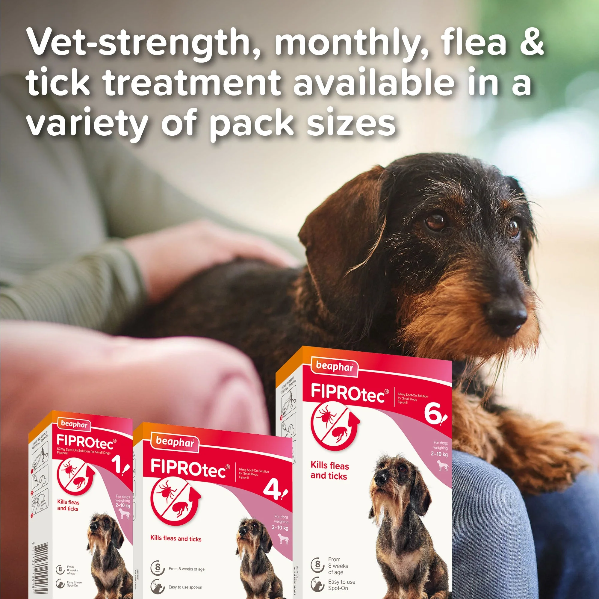 Beaphar FIPROtec Flea & Tick Spot-On Solution for Small Dogs (2-10kg) - Image 8