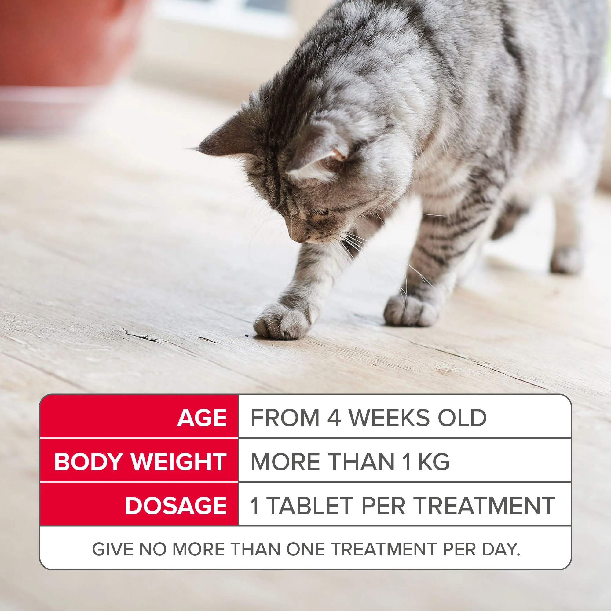Beaphar Flea Tablets for Cats - Image 10