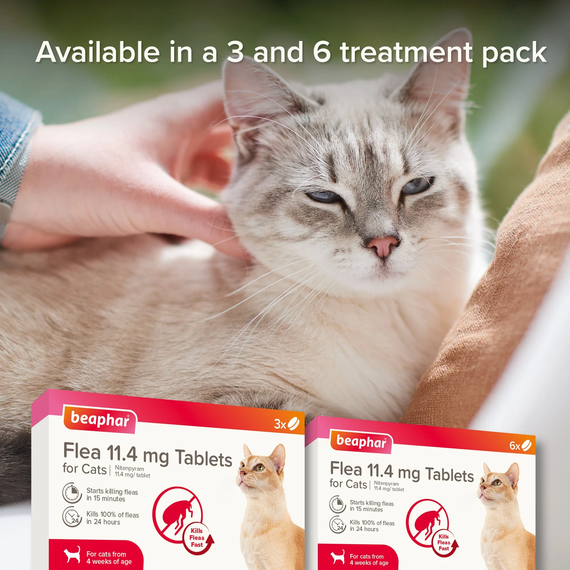 Beaphar Flea Tablets for Cats - Image 11