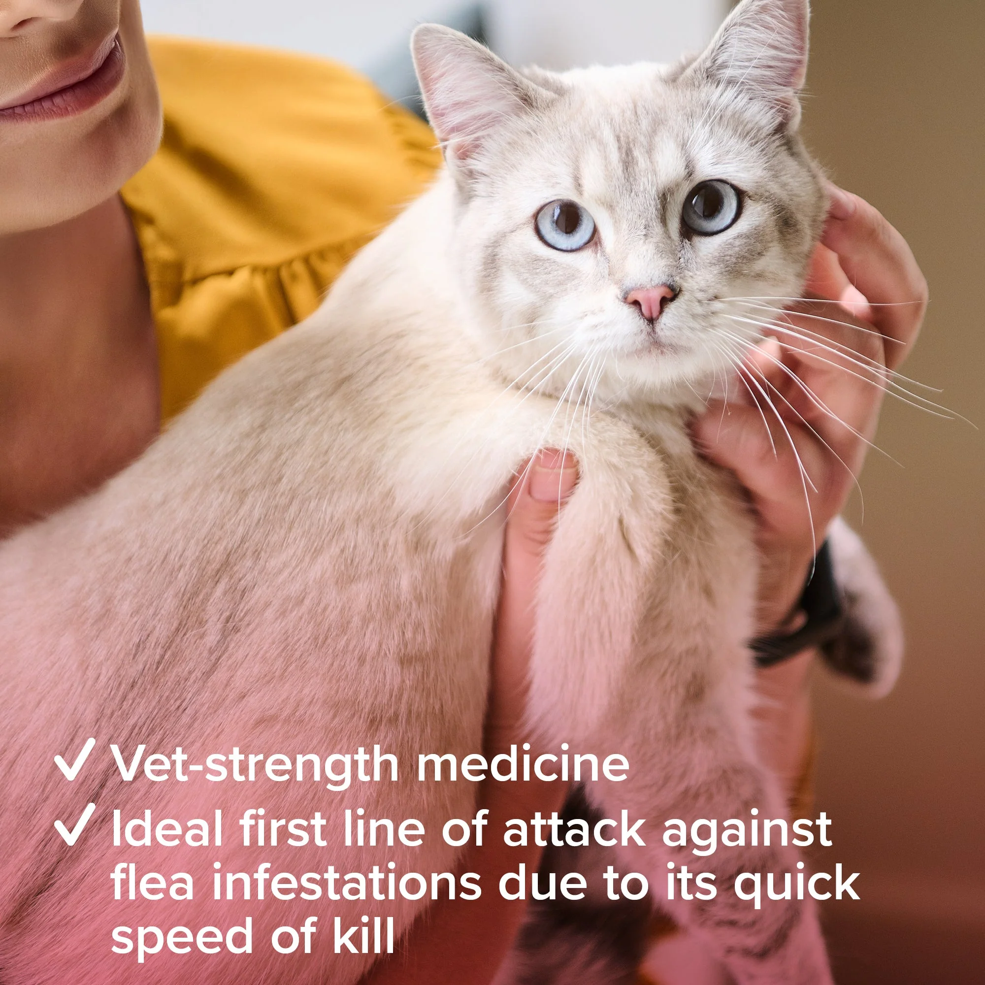 Beaphar Flea Tablets for Cats - Image 9