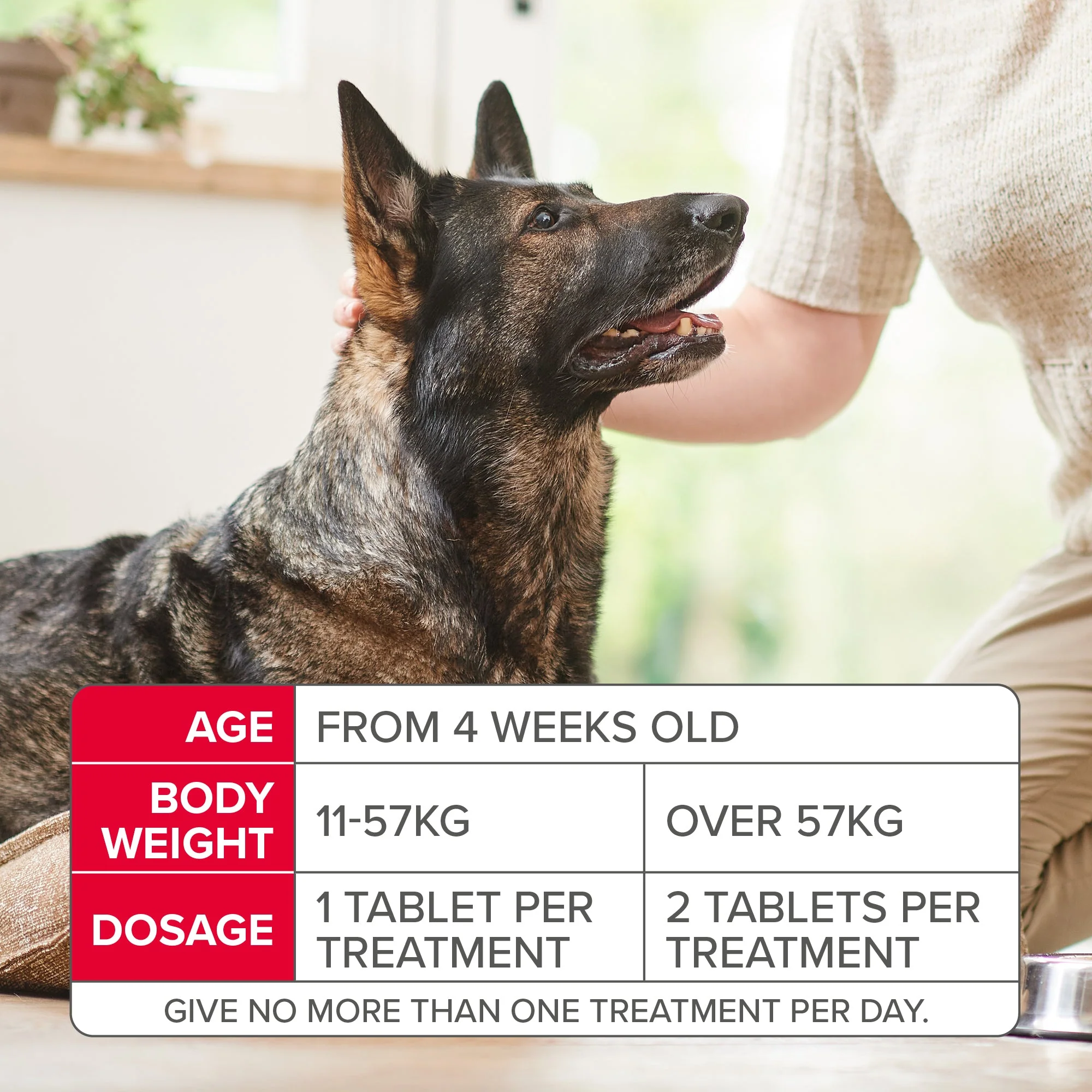 Beaphar Flea Tablets for Medium & Large Dogs (over 11kg) - Image 7