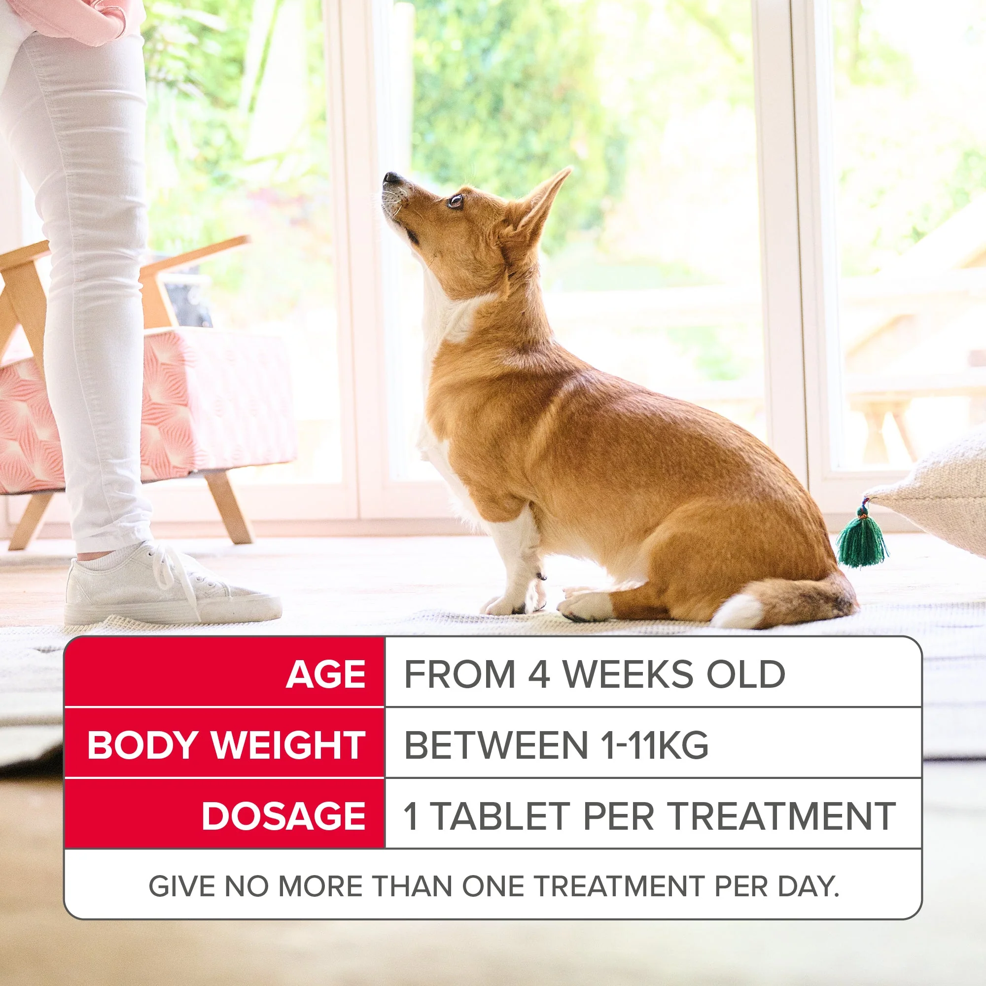 Beaphar Flea Tablets for Small Dogs (1-11kg) - Image 7