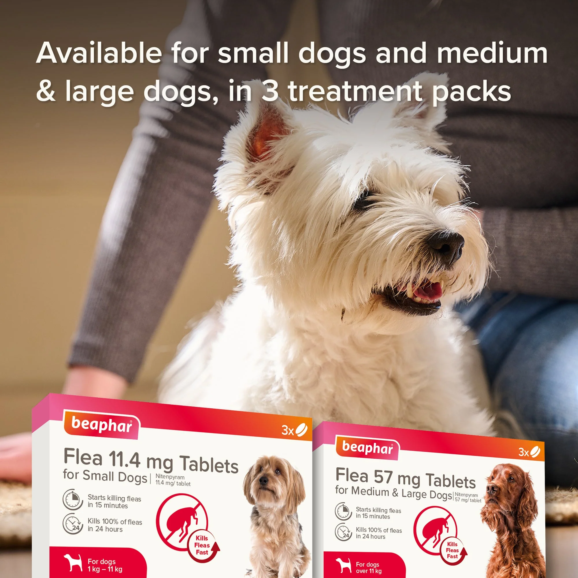 Beaphar Flea Tablets for Small Dogs (1-11kg) - Image 8