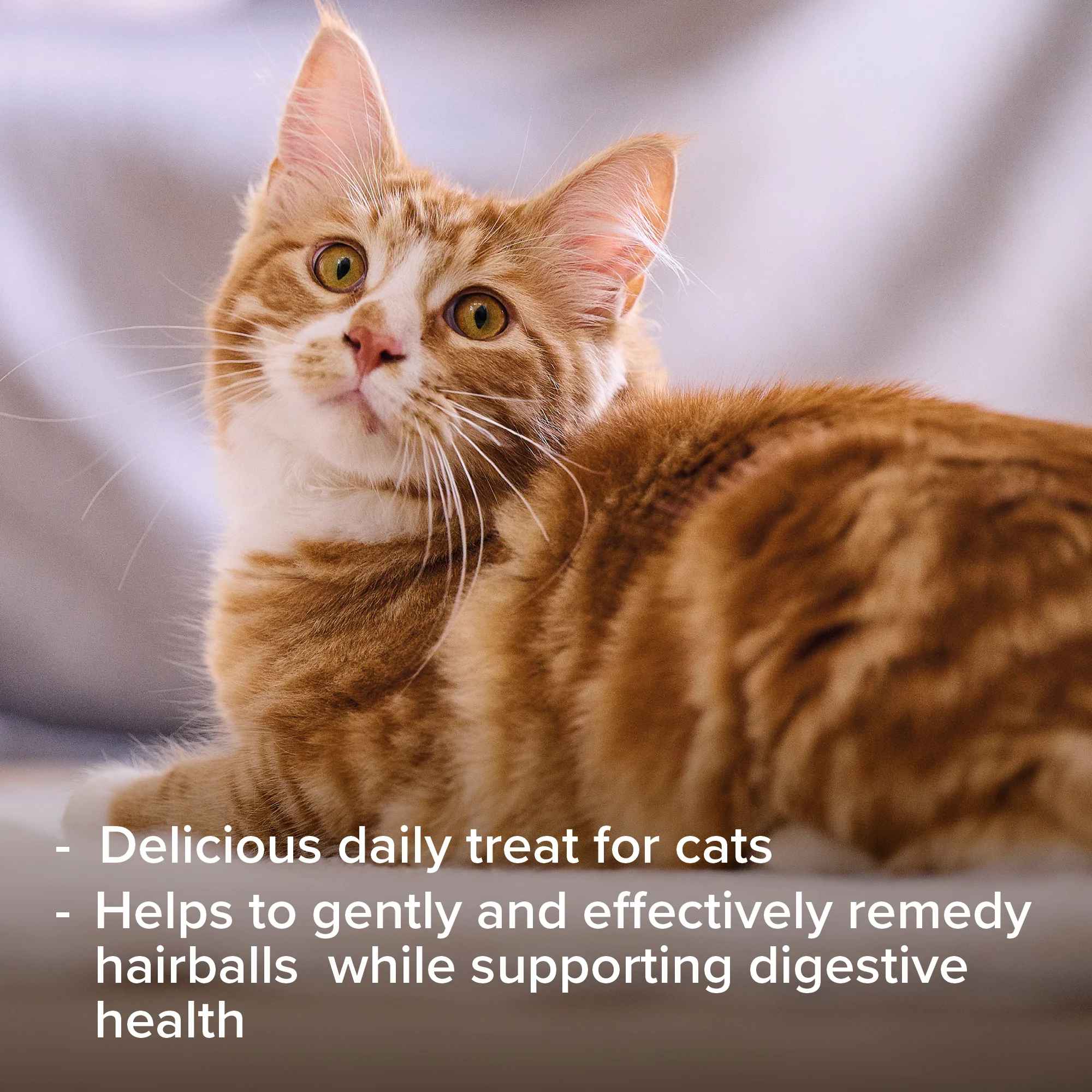 Beaphar Hairball Paste 2 In 1 - Image 6