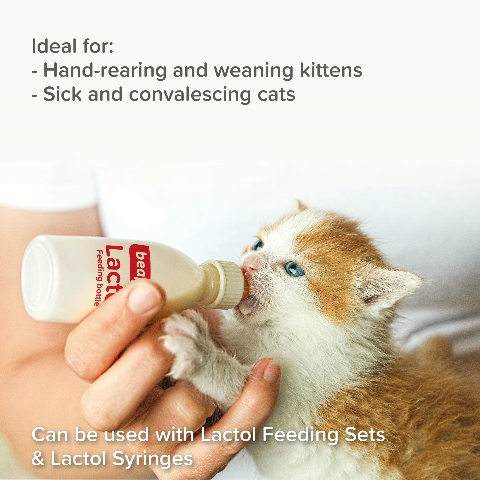 Beaphar Lactol Kitten Milk - Image 11
