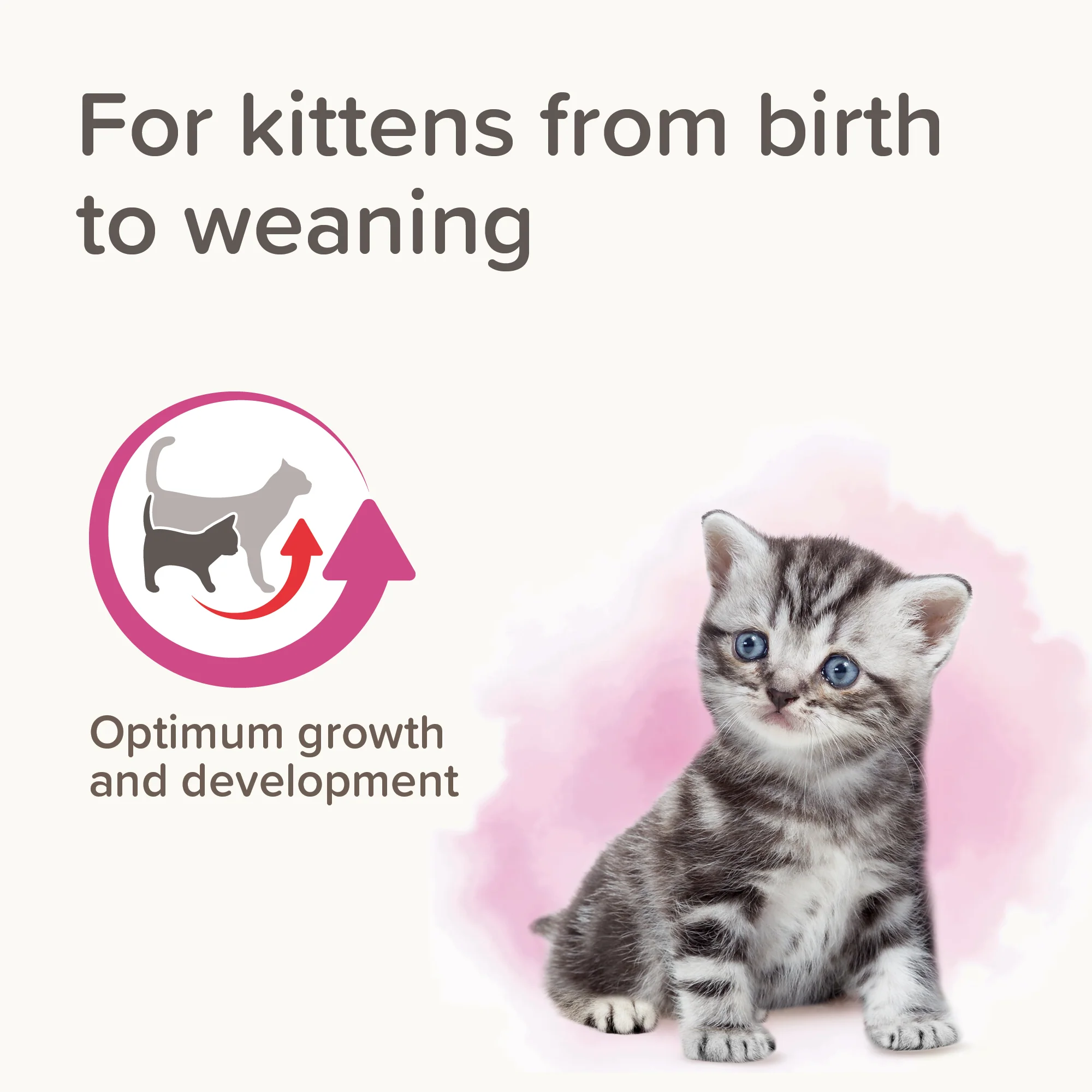 Beaphar Lactol Kitten Milk - Image 9