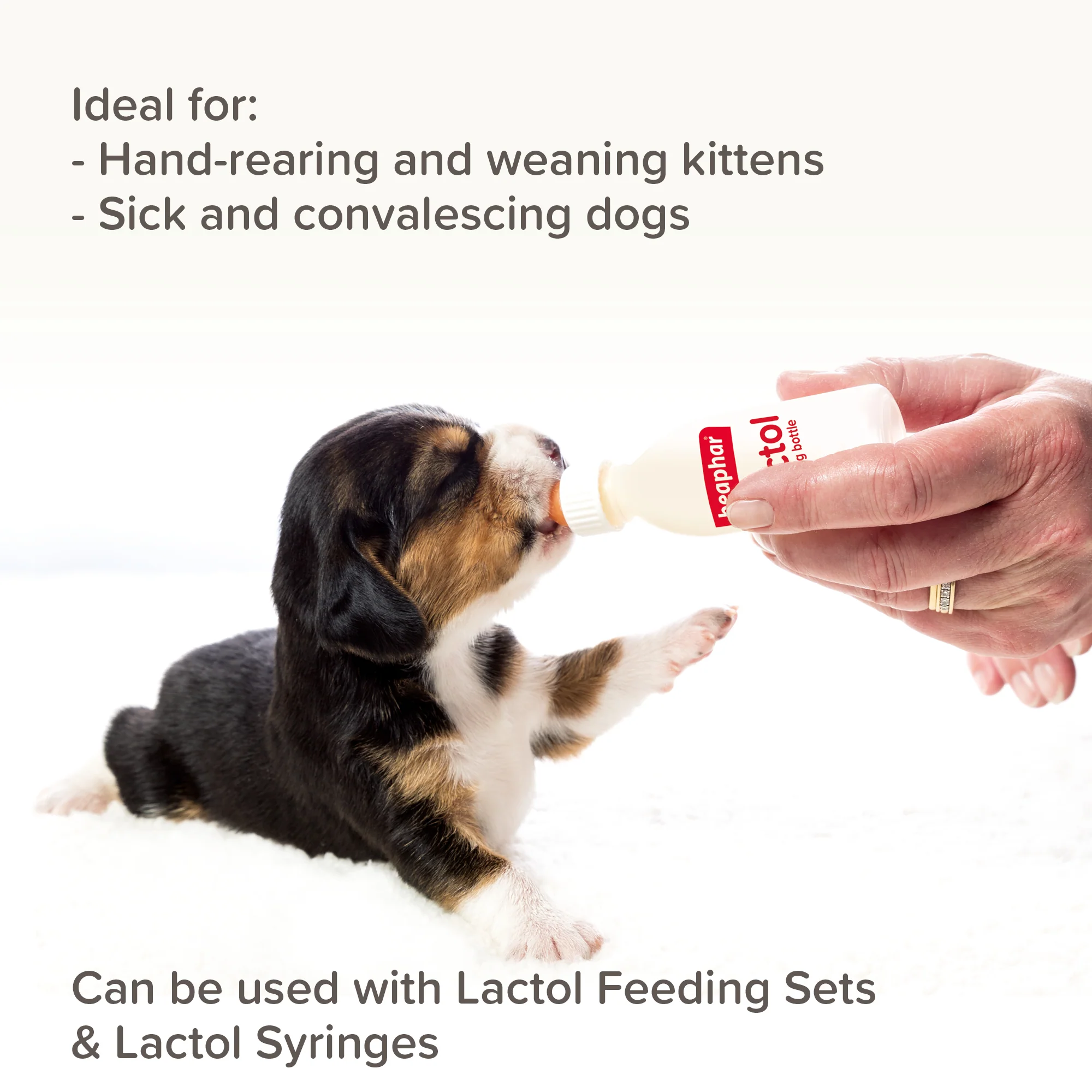 Beaphar Lactol Puppy Milk - Image 6