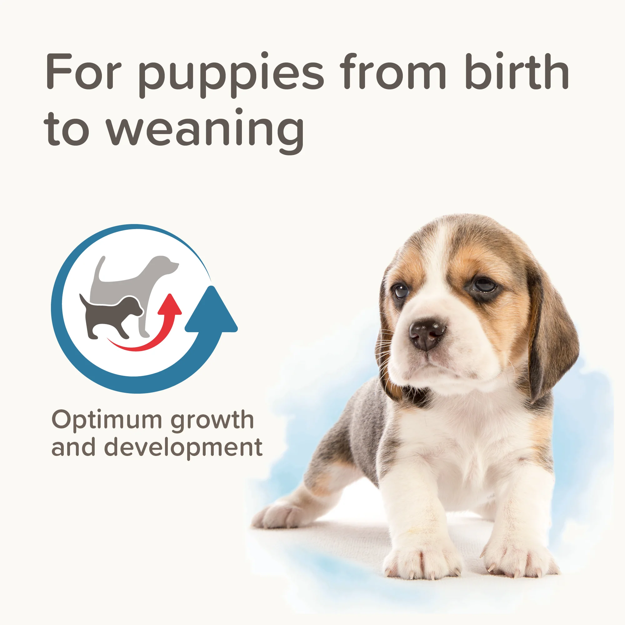 Beaphar Lactol Puppy Milk - Image 9