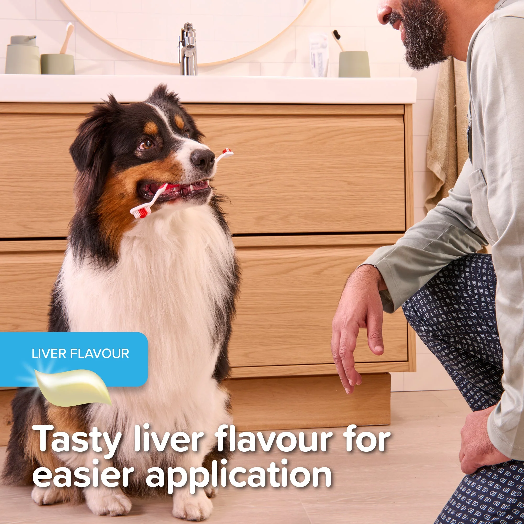 Beaphar Liver Flavour Toothgel for Dogs & Cats - Image 6