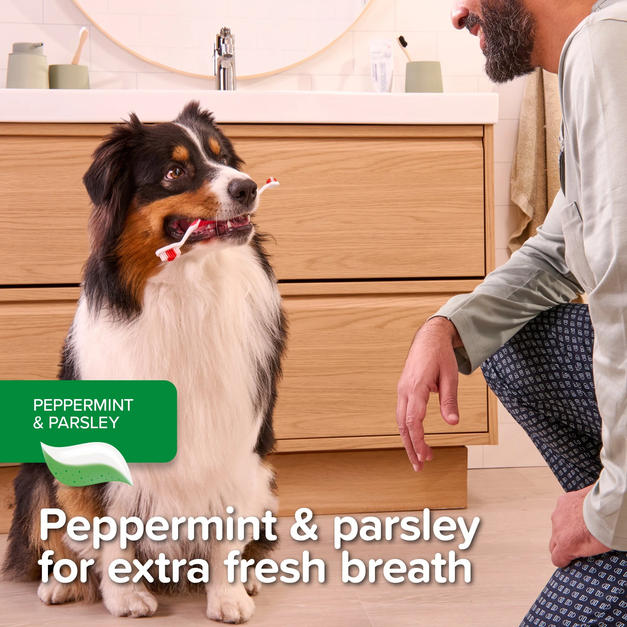 Beaphar Peppermint & Parsley Toothpaste for Dogs & Cats - Image 5