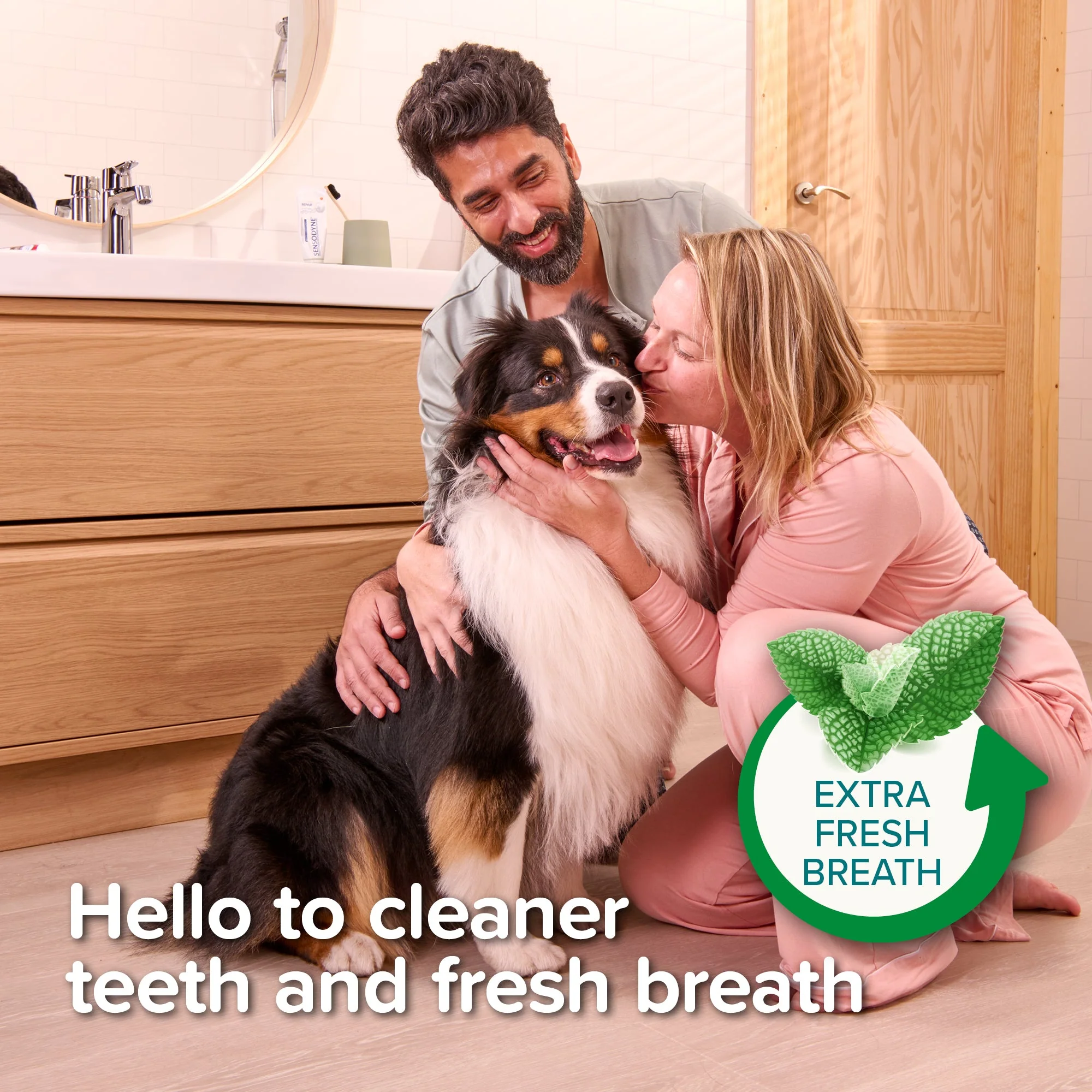 Beaphar Peppermint & Parsley Toothpaste for Dogs & Cats - Image 8