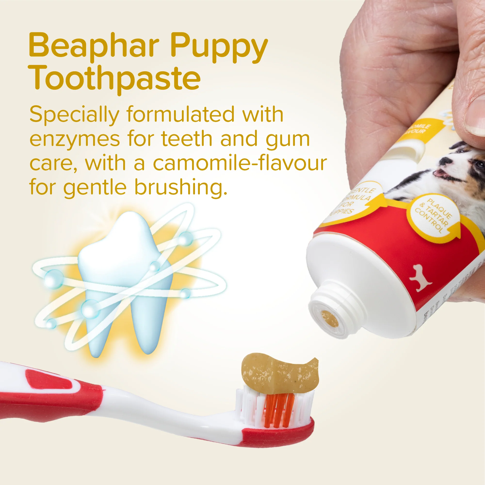 Beaphar Puppy Dental Kit - Image 6
