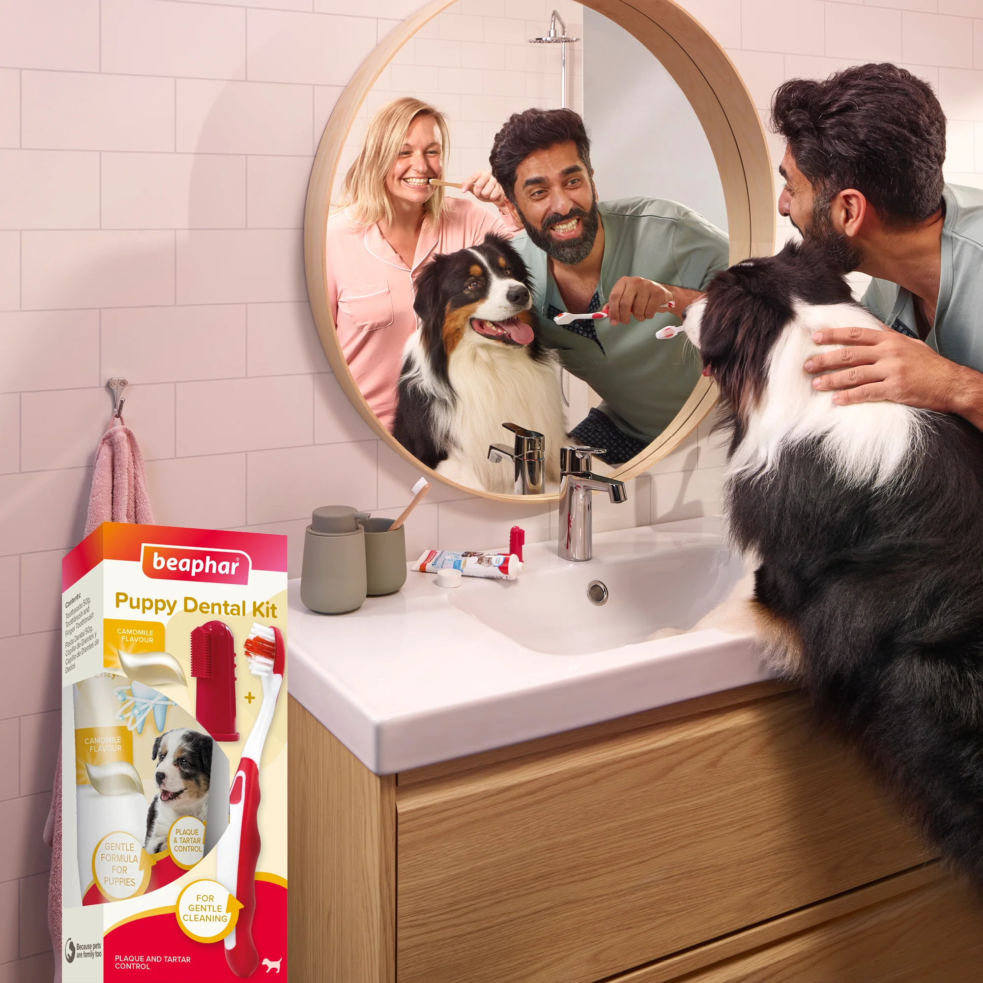 Beaphar Puppy Dental Kit - Image 9